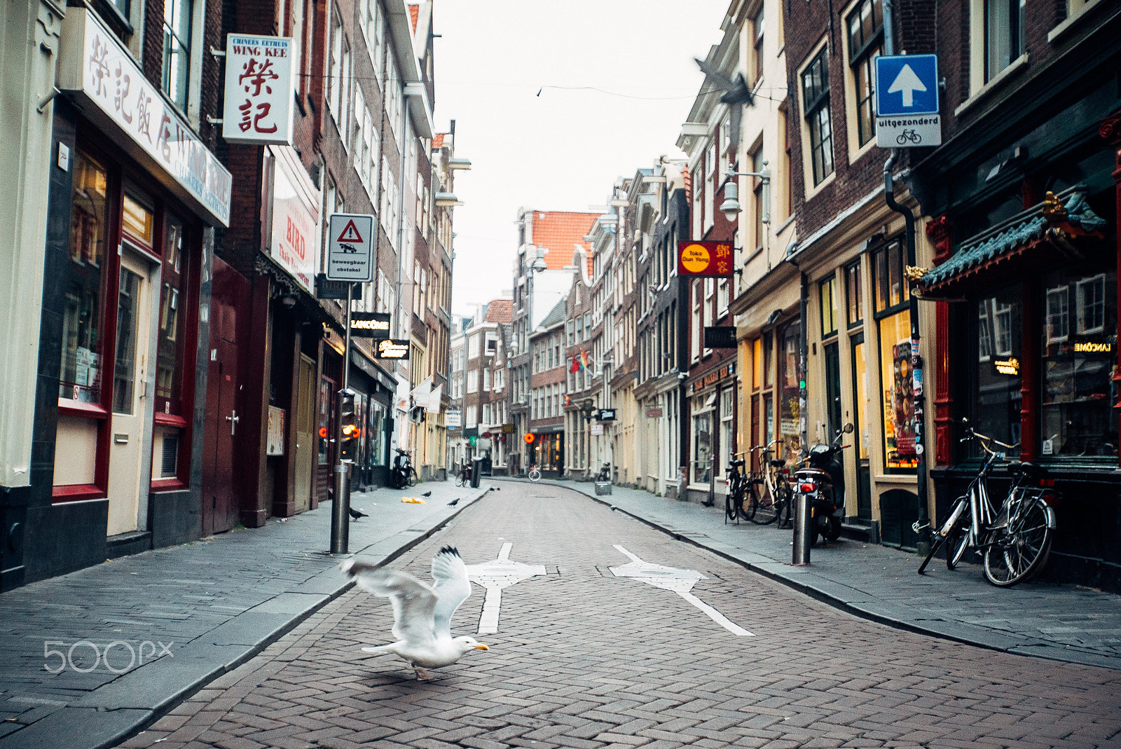 Sony a7S II sample photo. Amsterdam early morning photography