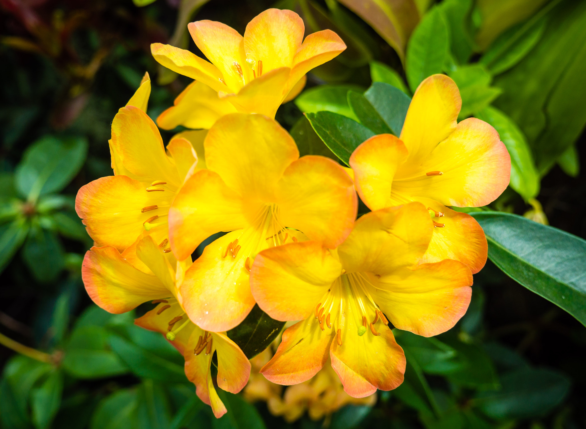 Panasonic Lumix G X Vario 12-35mm F2.8 ASPH Power OIS sample photo. Singapore photography