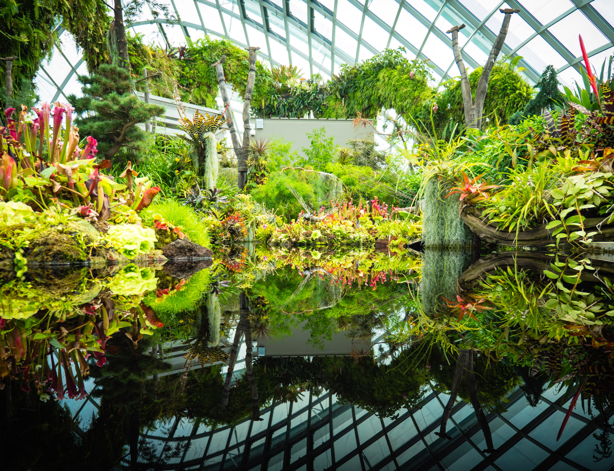 Panasonic Lumix G X Vario 12-35mm F2.8 ASPH Power OIS sample photo. Singapore photography