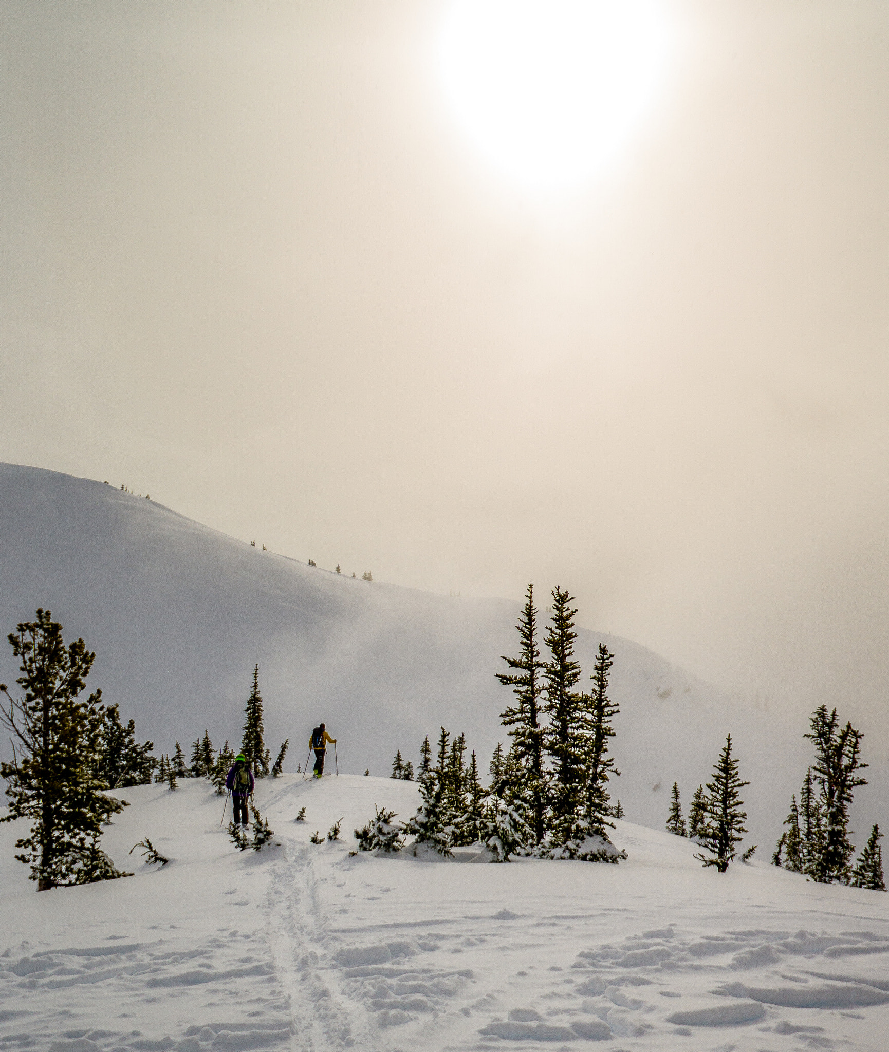 Sony a6000 sample photo. Mitch nearing the summit photography