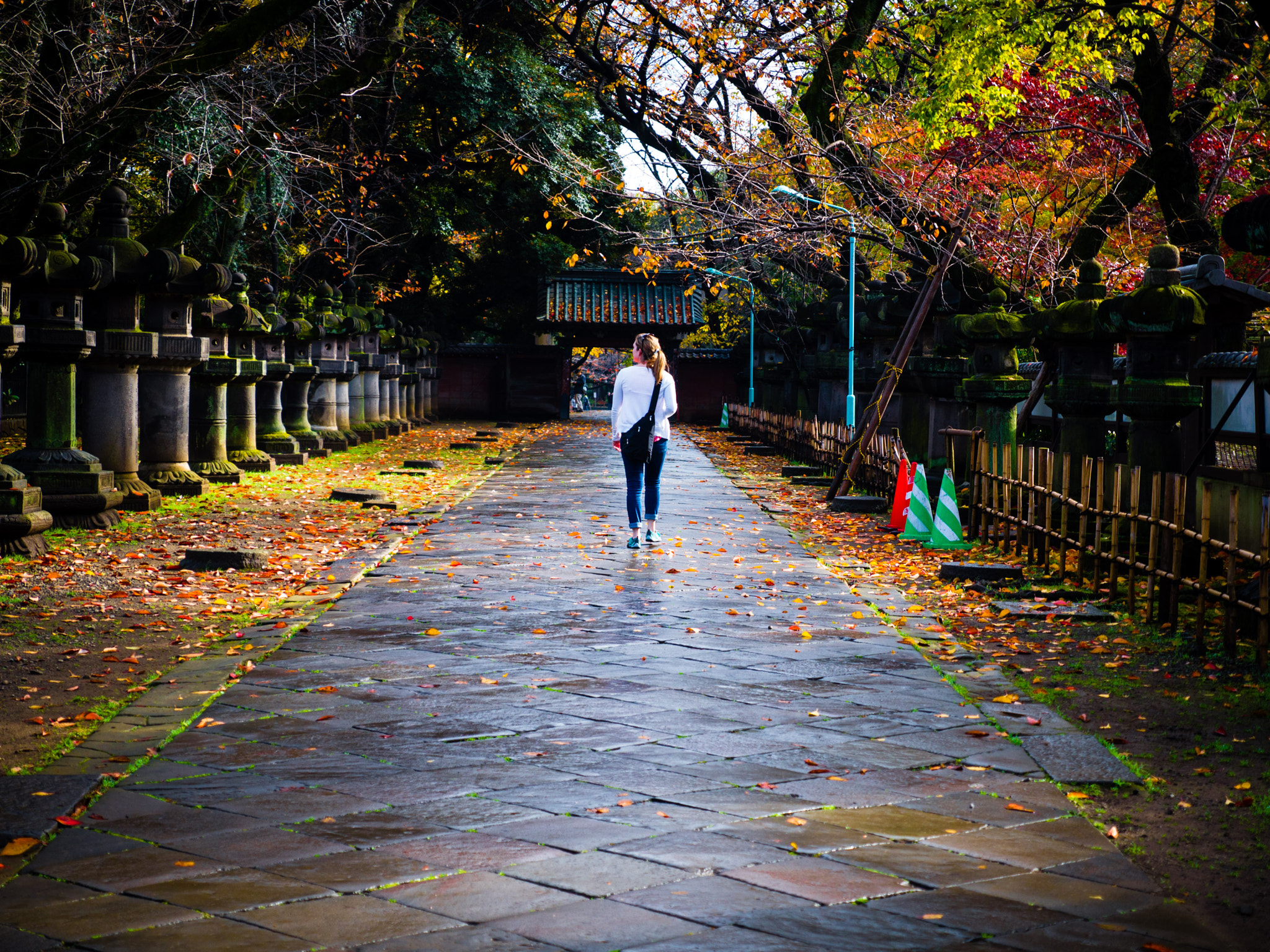 Panasonic Lumix G X Vario 12-35mm F2.8 ASPH Power OIS sample photo. Tokyo photography