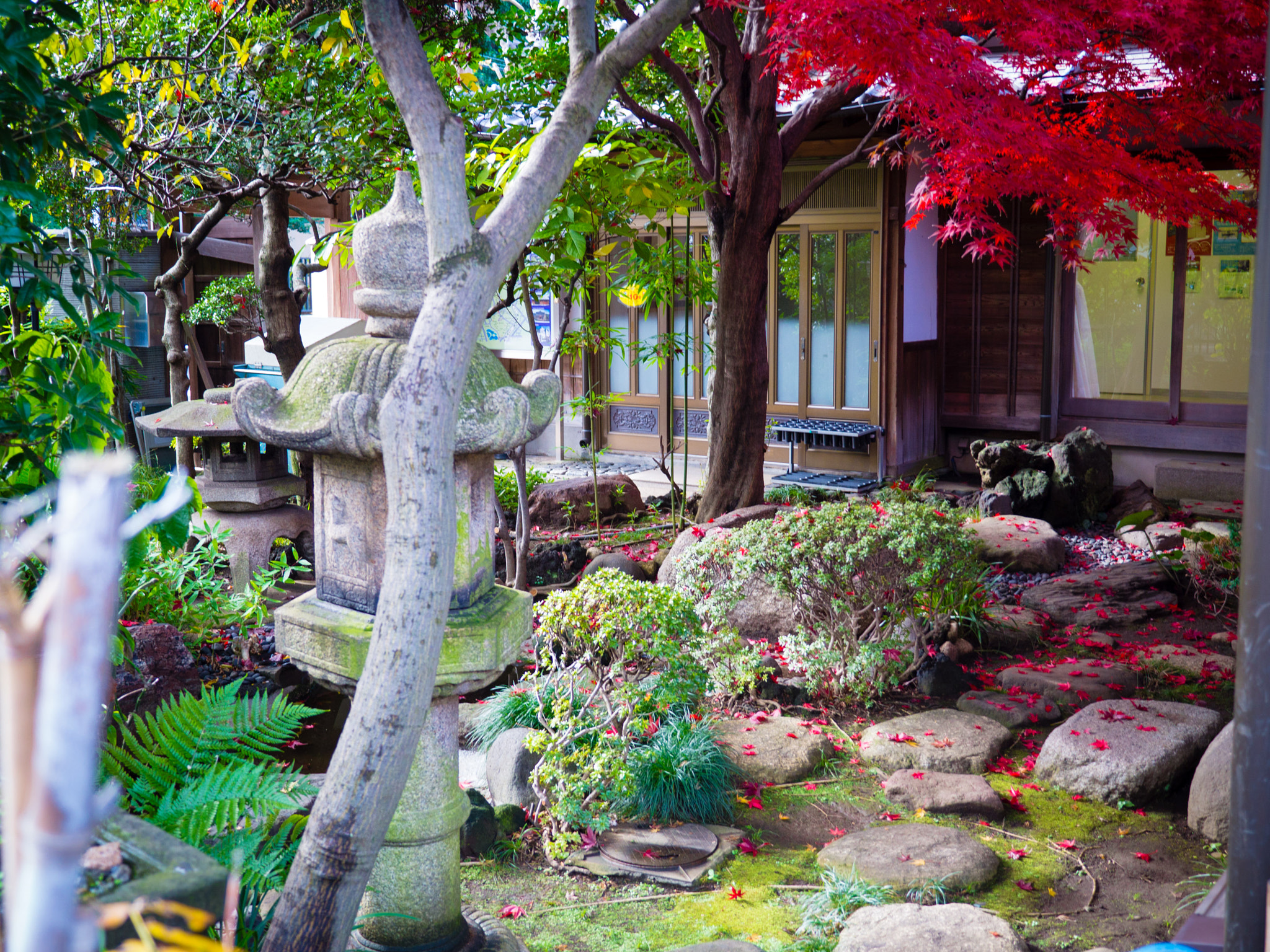 Panasonic Lumix G X Vario 12-35mm F2.8 ASPH Power OIS sample photo. Tokyo photography