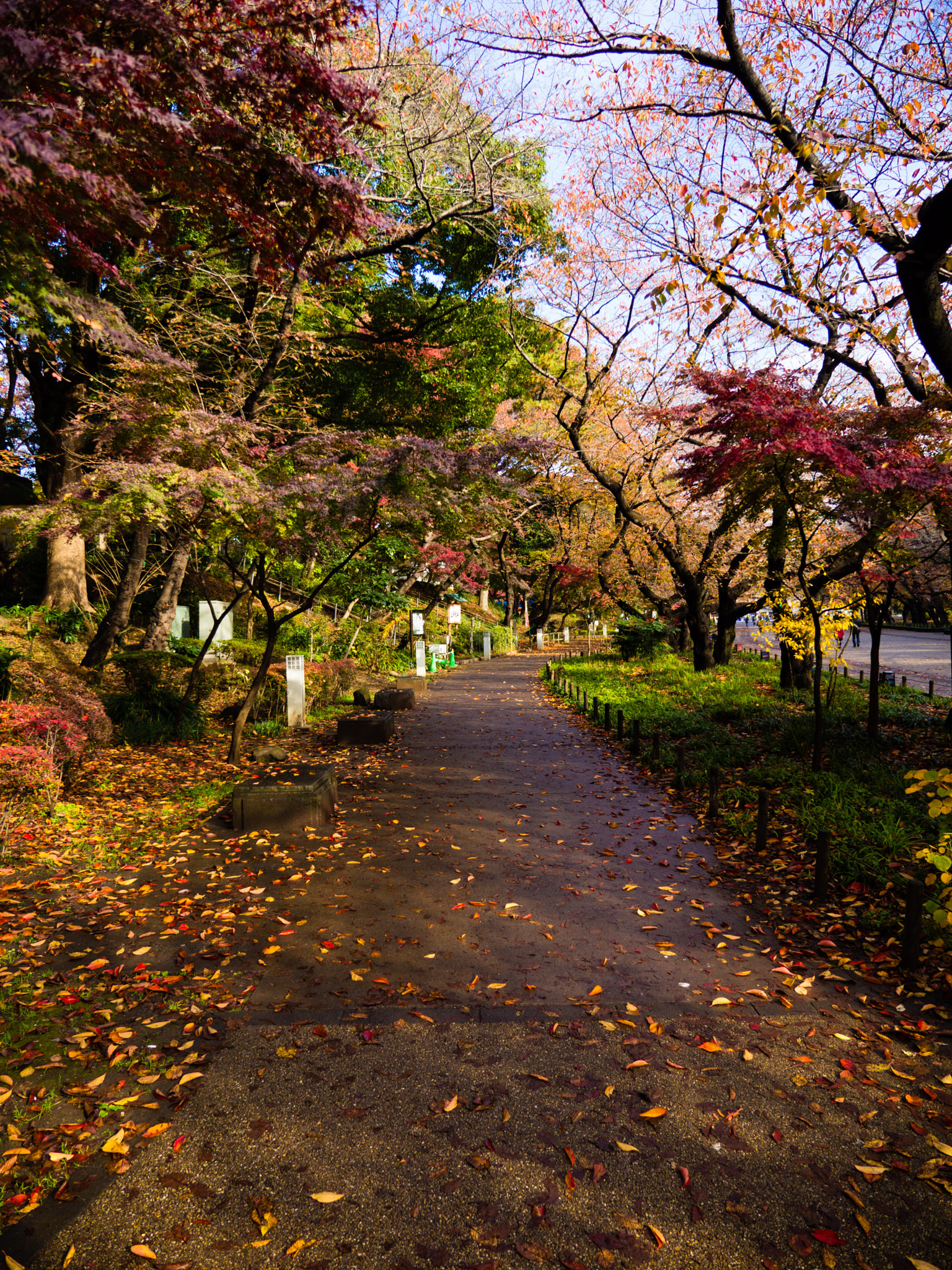 Panasonic Lumix G X Vario 12-35mm F2.8 ASPH Power OIS sample photo. Tokyo photography