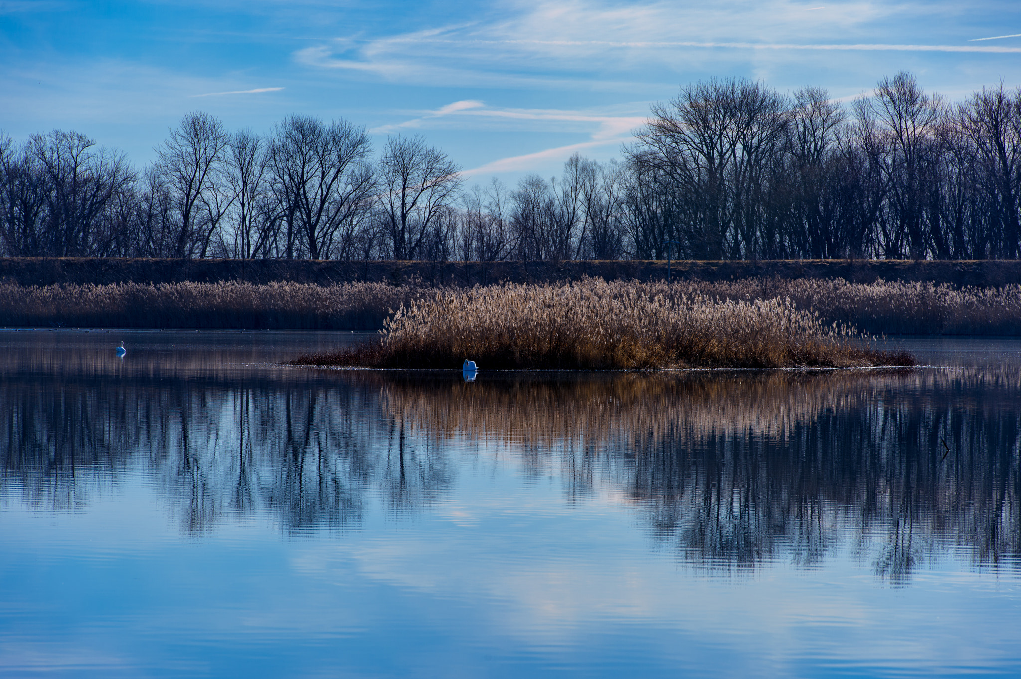 Nikon Df sample photo. Lake view photography