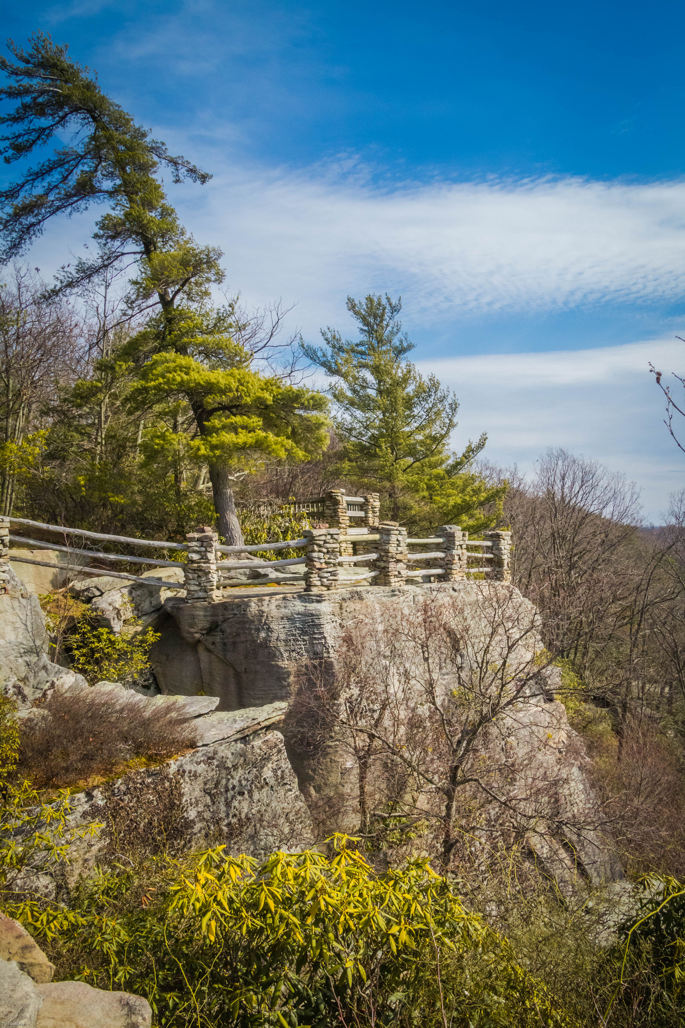 Canon EOS 1200D (EOS Rebel T5 / EOS Kiss X70 / EOS Hi) sample photo. Cooper's rock state park wv photography