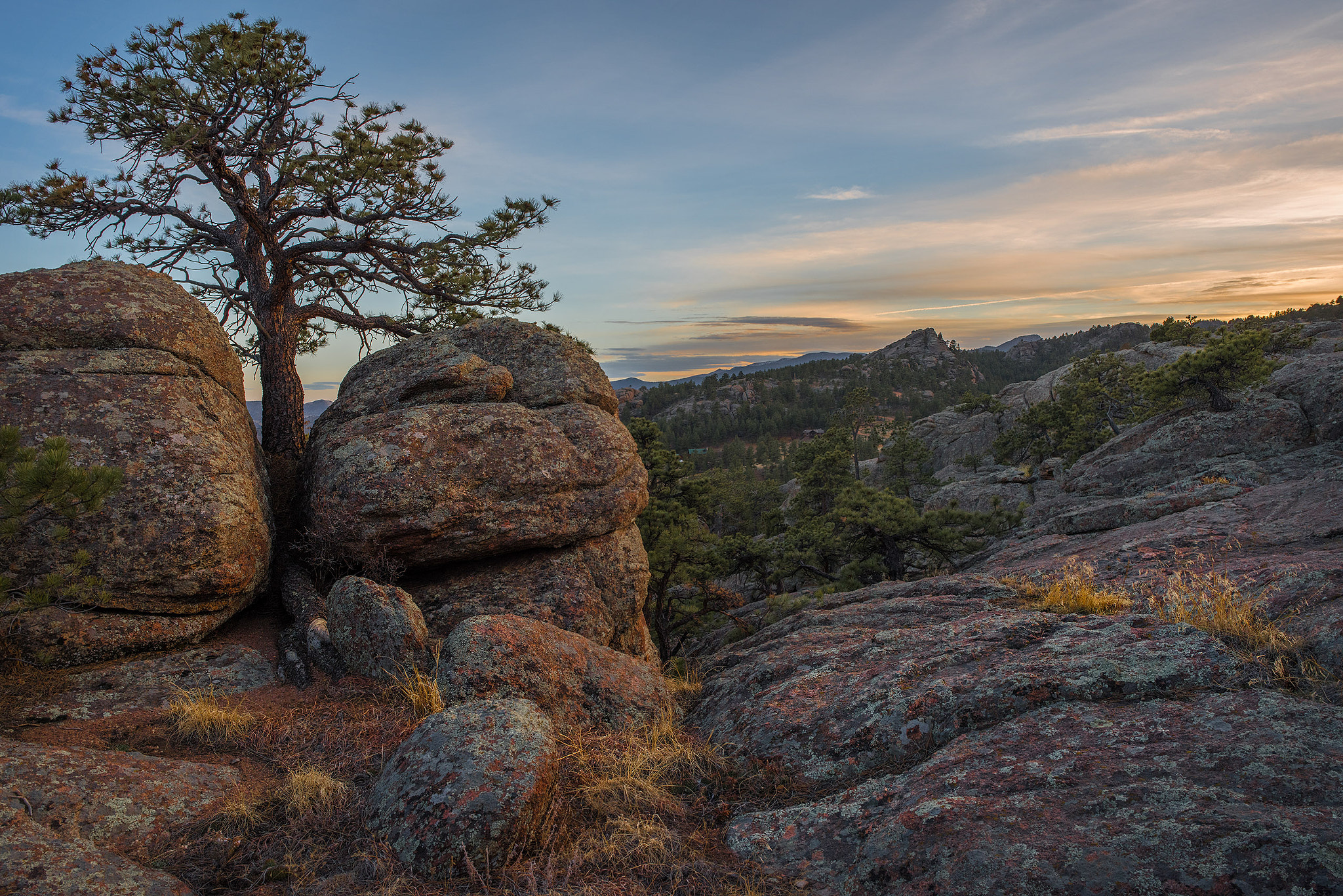 Nikon D810 + Nikon AF-S Nikkor 24mm F1.8G ED sample photo. Golden hour photography