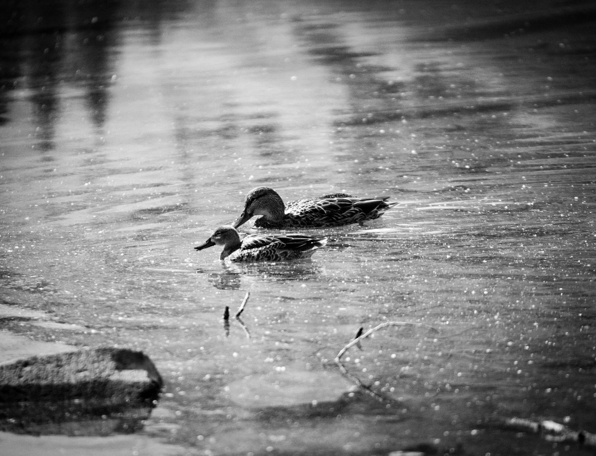 Panasonic Lumix DMC-GH3 + Panasonic Lumix G X Vario 35-100mm F2.8 OIS sample photo. Maroon bells photography