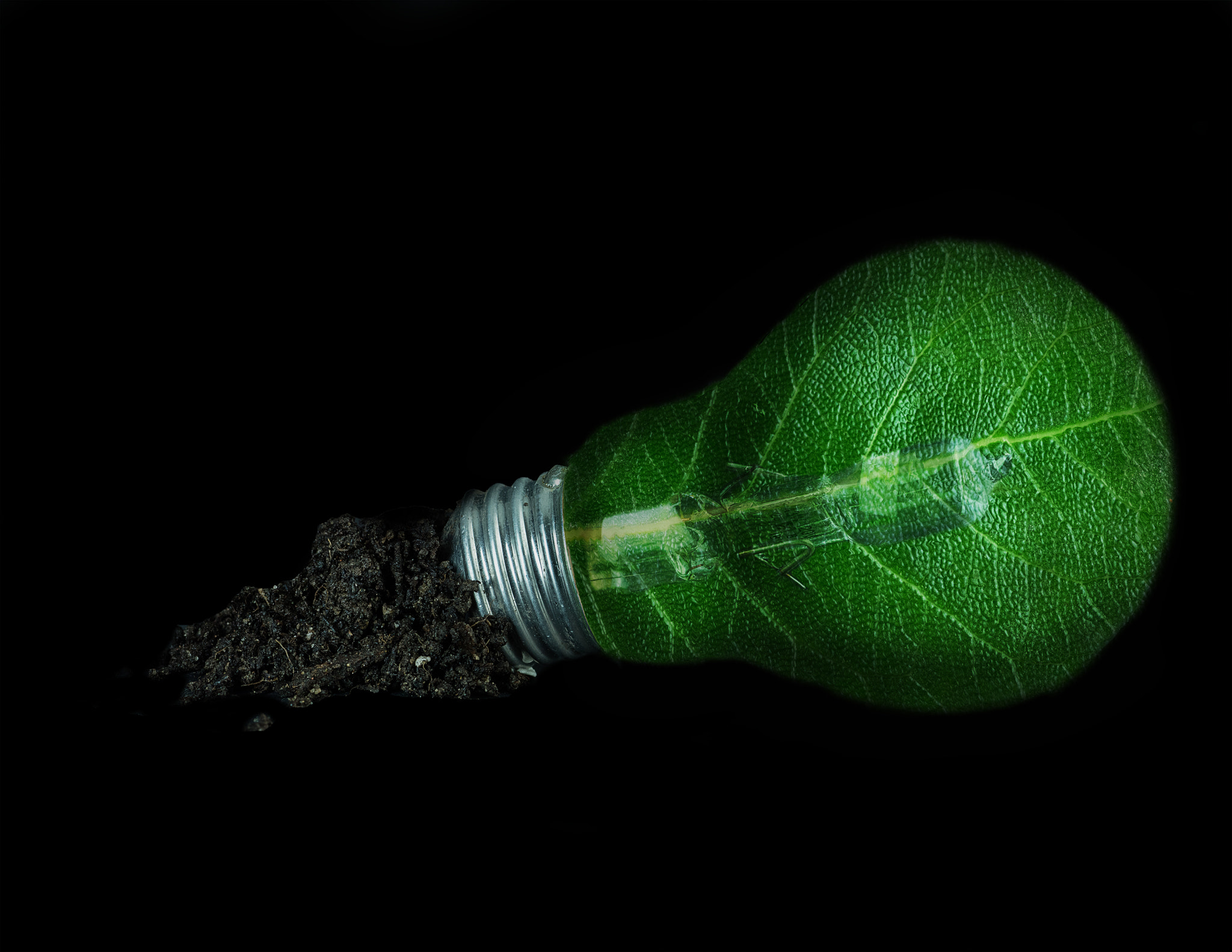Phase One IQ160 sample photo. Green living photography