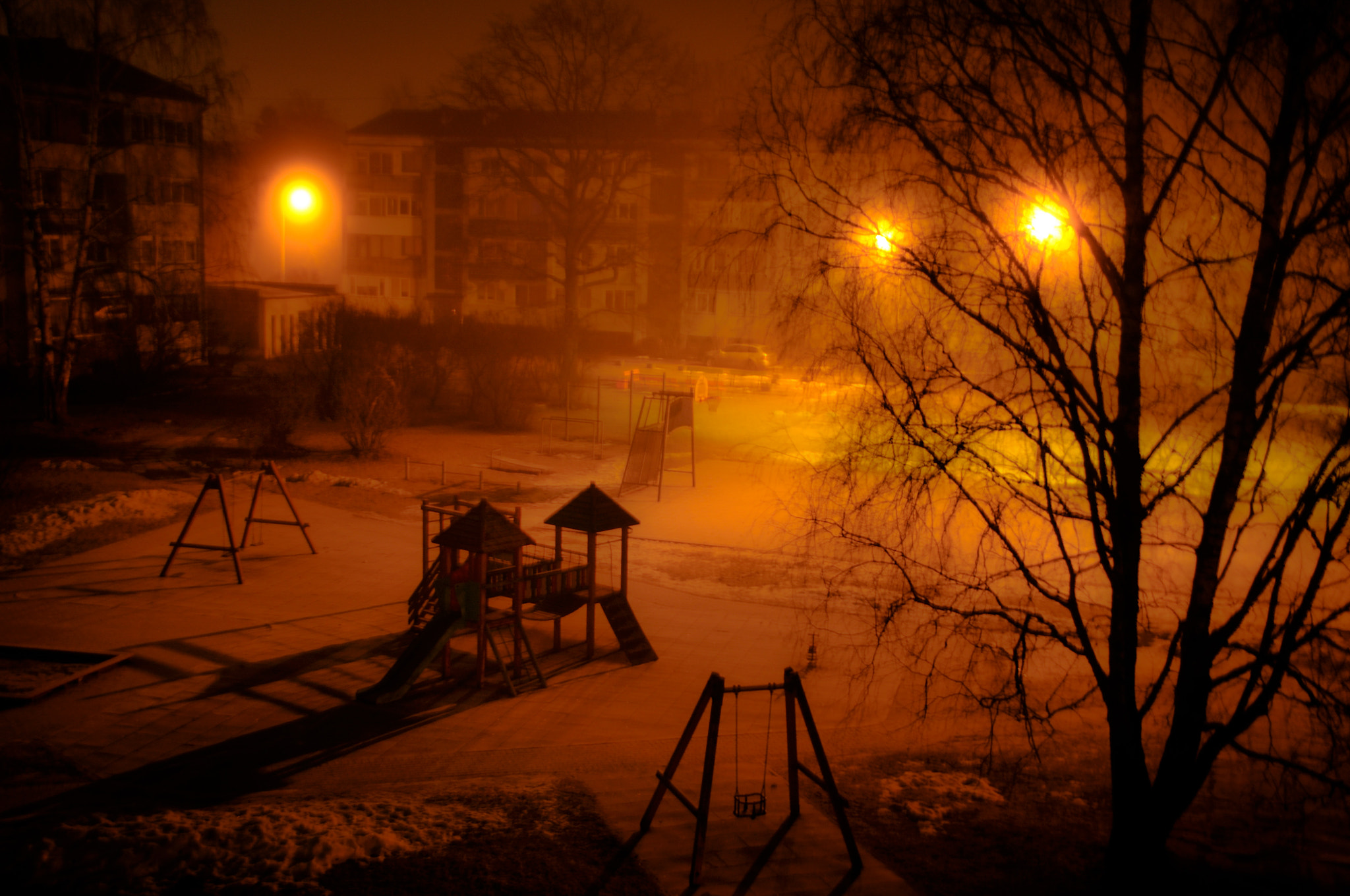 Nikon D300 sample photo. Foggy morning in my yard photography