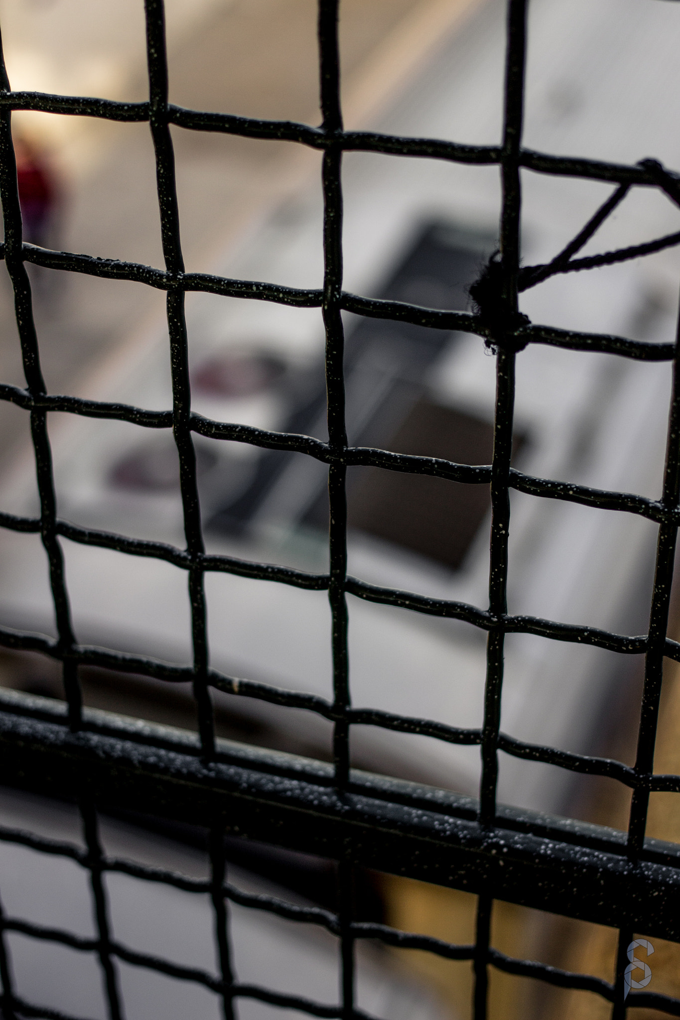Canon EF 40mm F2.8 STM sample photo. Img photography