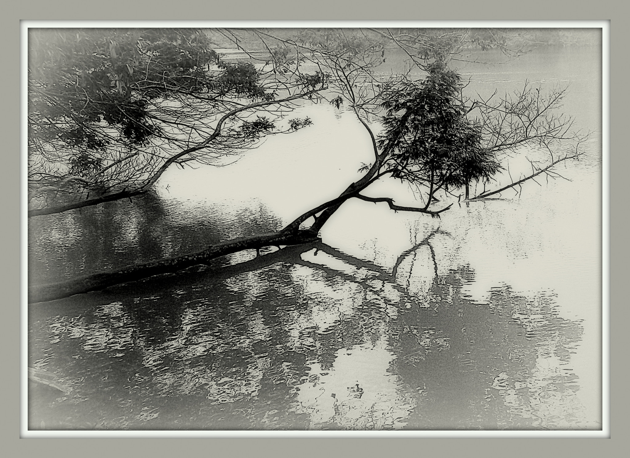 Ricoh WG-4 sample photo. Reflection photography
