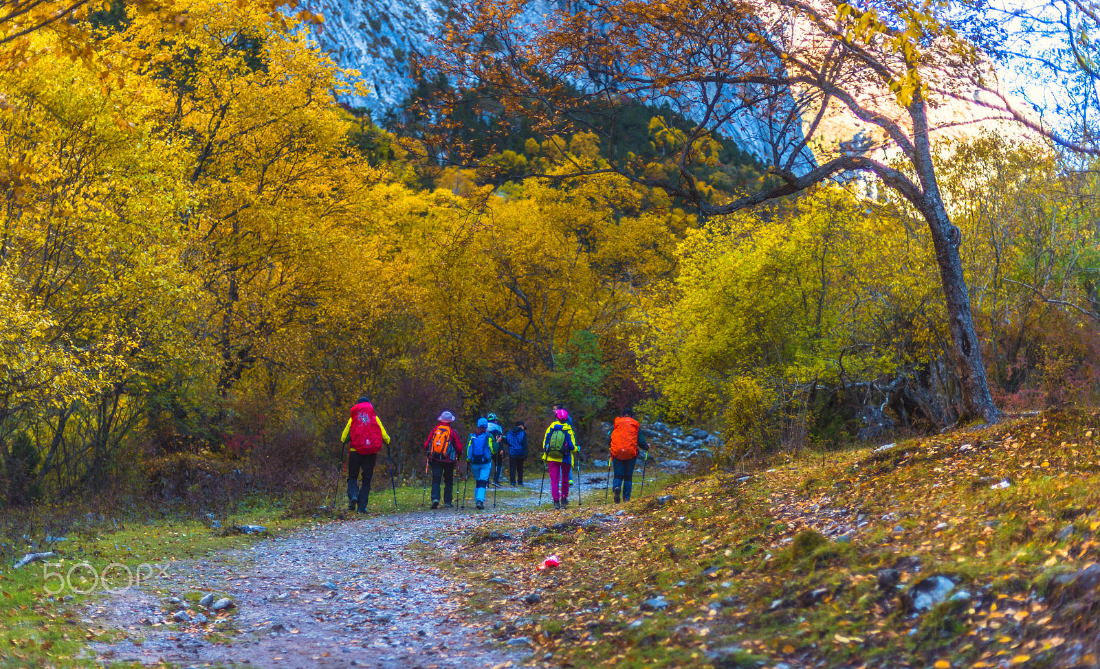 Nikon D810 + Nikon AF Nikkor 50mm F1.4D sample photo. Autumn of zhagana photography