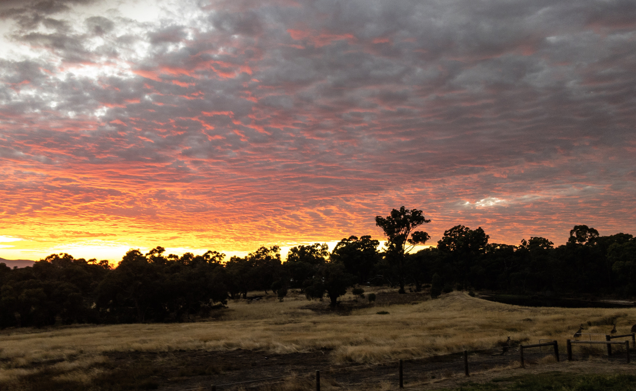 iPhone 7 Plus back camera 3.99mm f/1.8 sample photo. Fiery sunrise photography