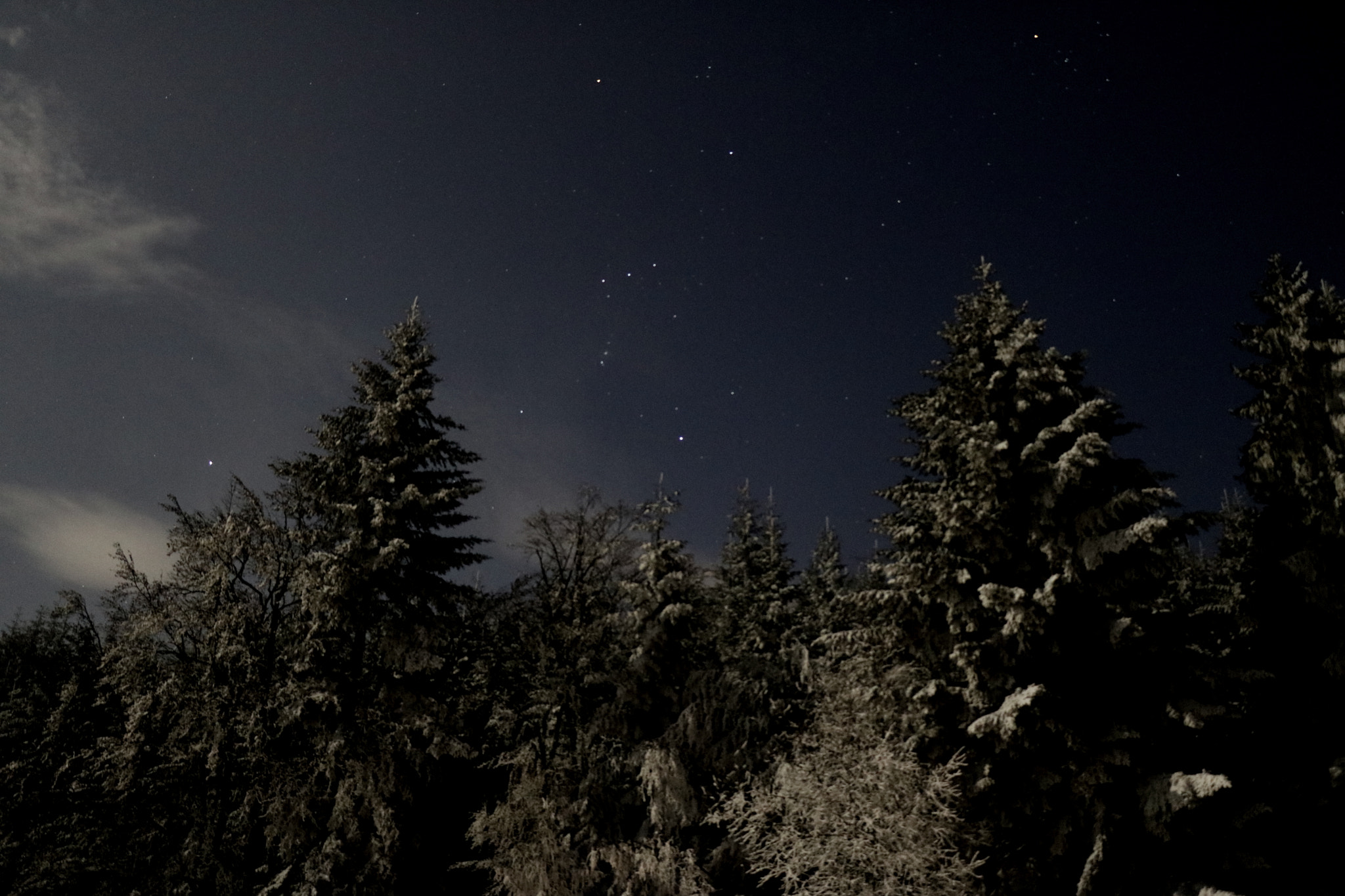 Canon EOS 750D (EOS Rebel T6i / EOS Kiss X8i) sample photo. Orion photography