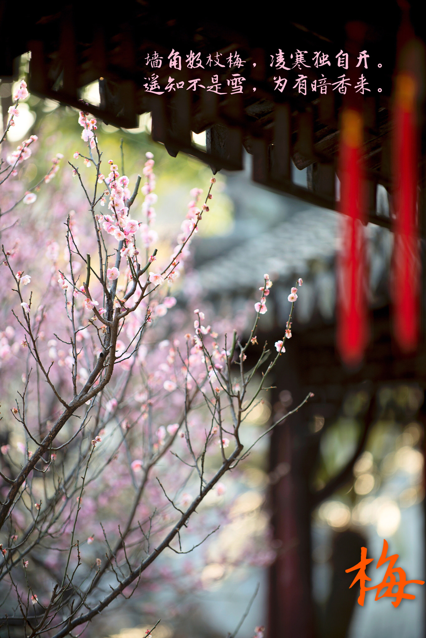 Nikon D800E sample photo