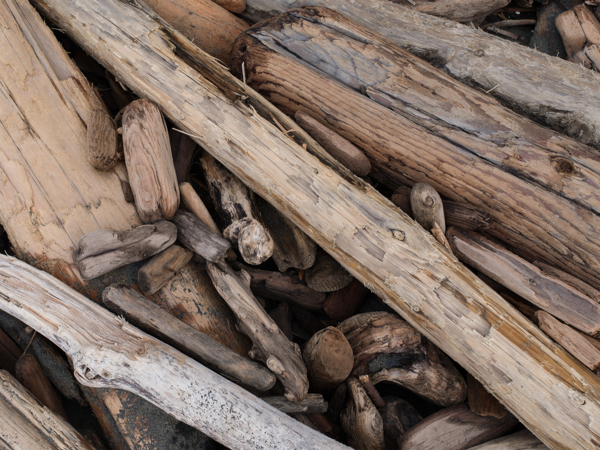 Pentax 645Z sample photo. Driftwood, china beach #03 photography