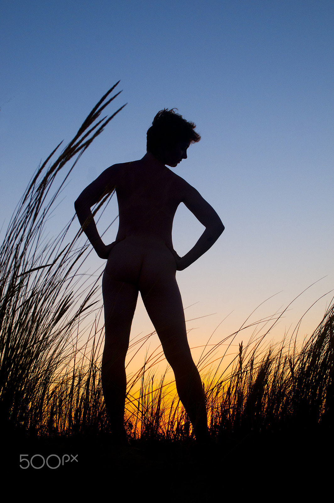 Nikon AF-S Nikkor 28-70mm F2.8 ED-IF sample photo. Silhouette at sunset photography