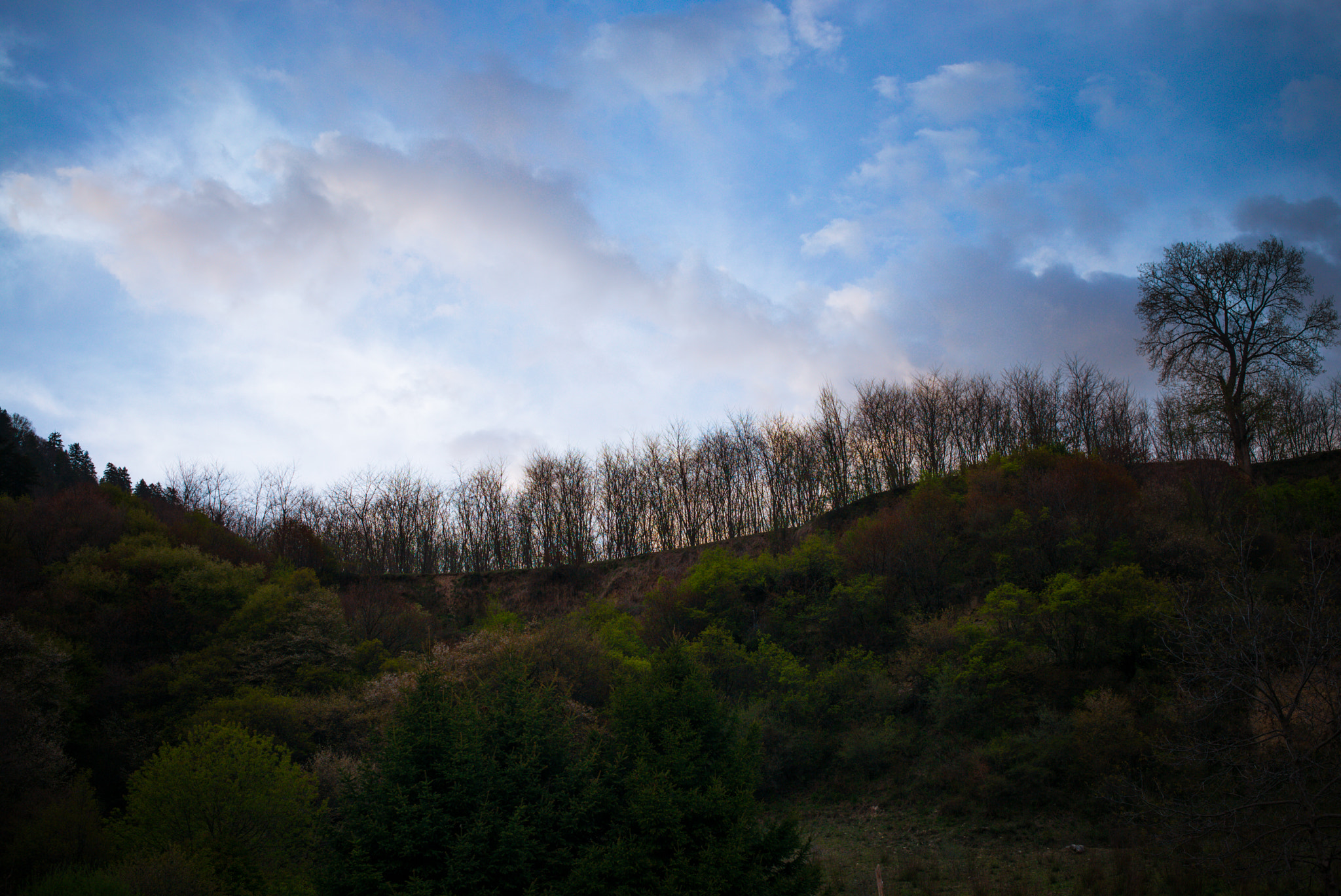 Leica Summilux-M 50mm F1.4 ASPH sample photo. Sunset glow photography
