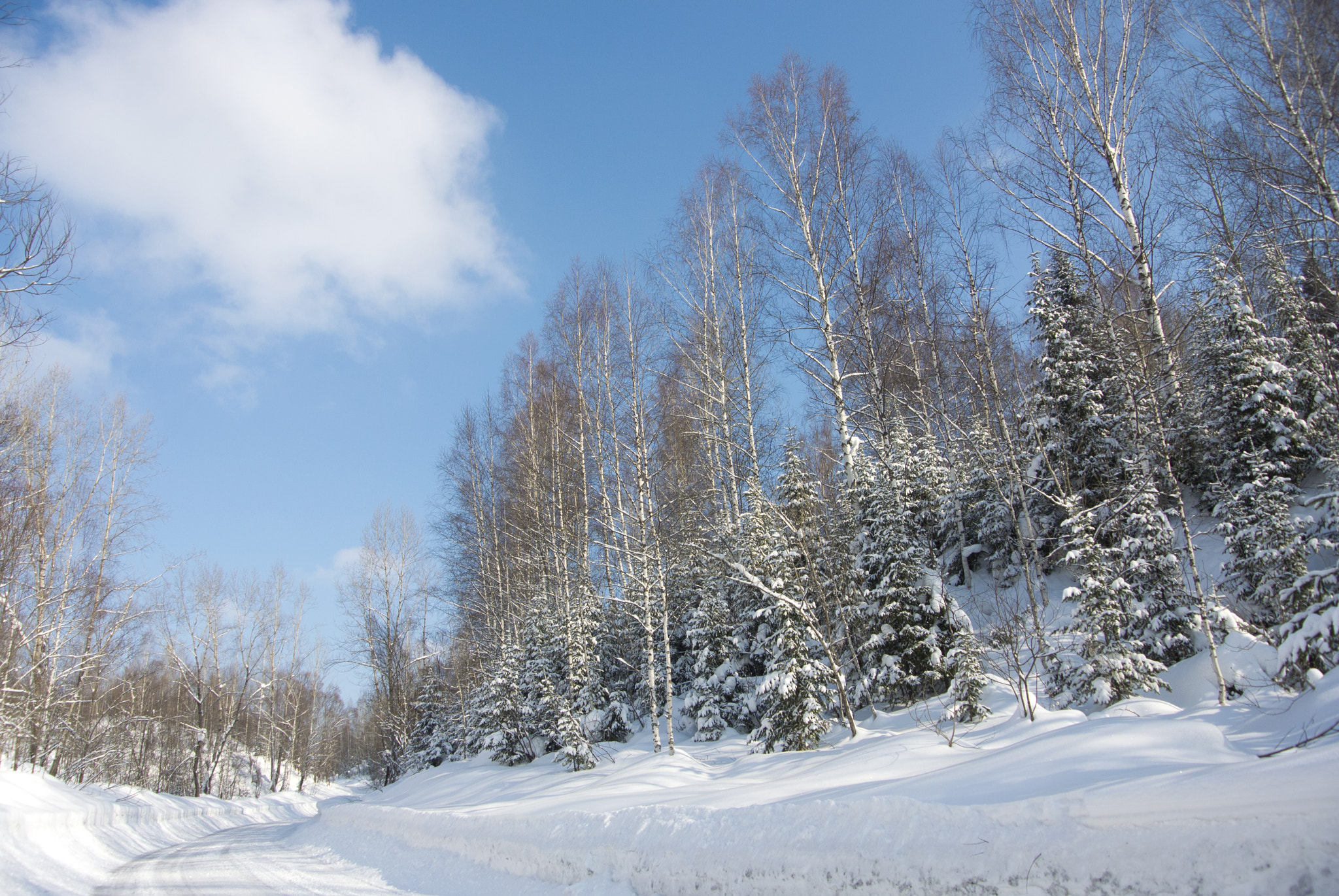 Nikon 1 Nikkor VR 10-30mm F3.5-5.6 sample photo. В двух шагах от весны. photography