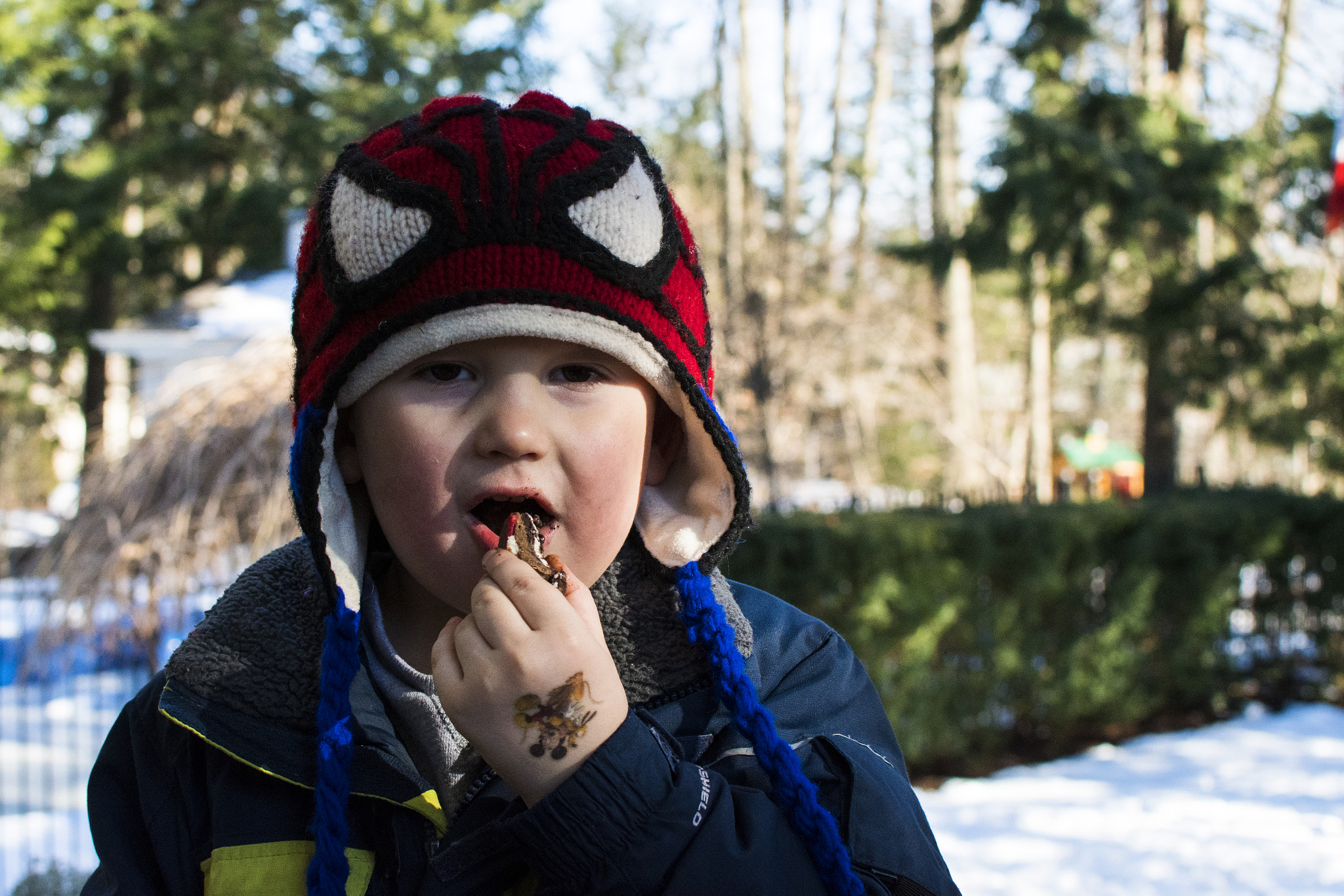 Nikon D500 sample photo. The chocolate covered cookie. mississauga, on. photography