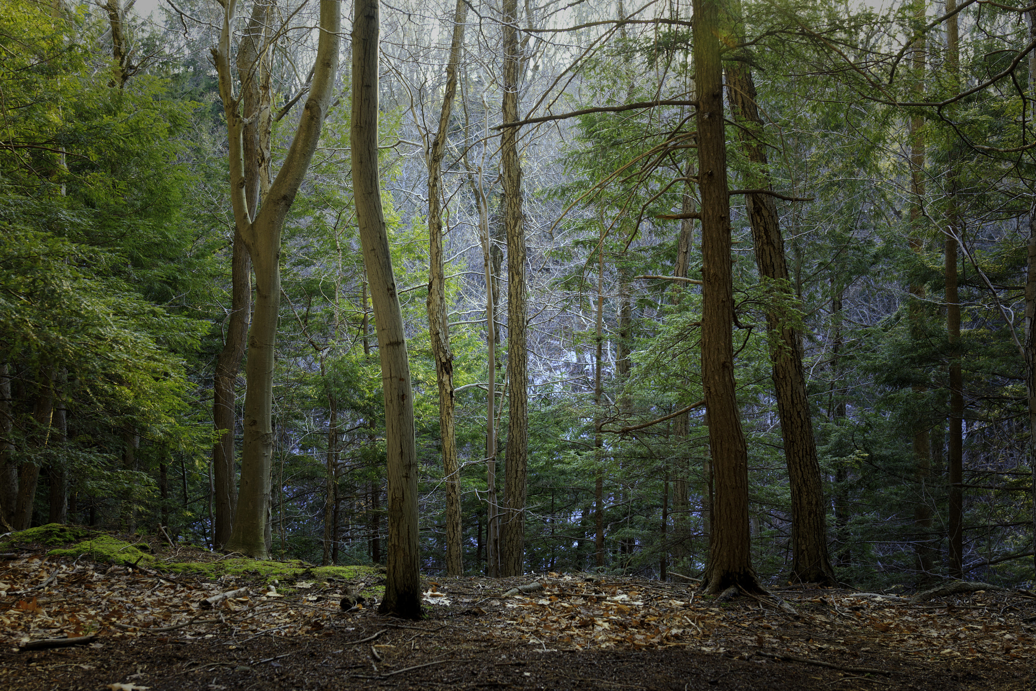 Canon EF 24-70mm F4L IS USM sample photo. Trail photography