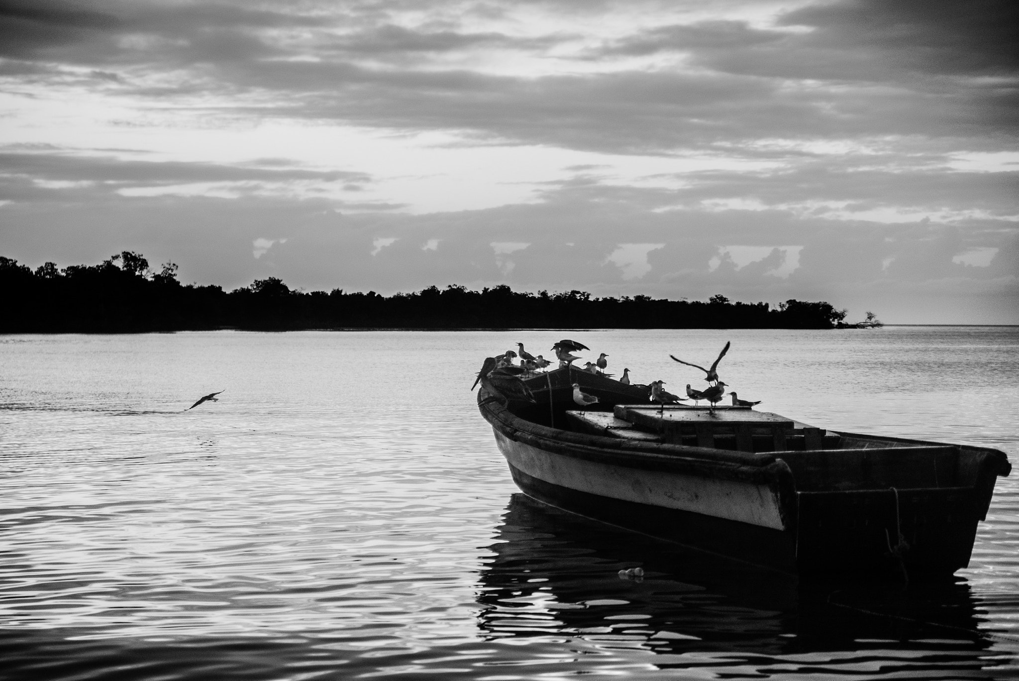 Nikon D600 sample photo. Sometimes home is not where the heart is. photography