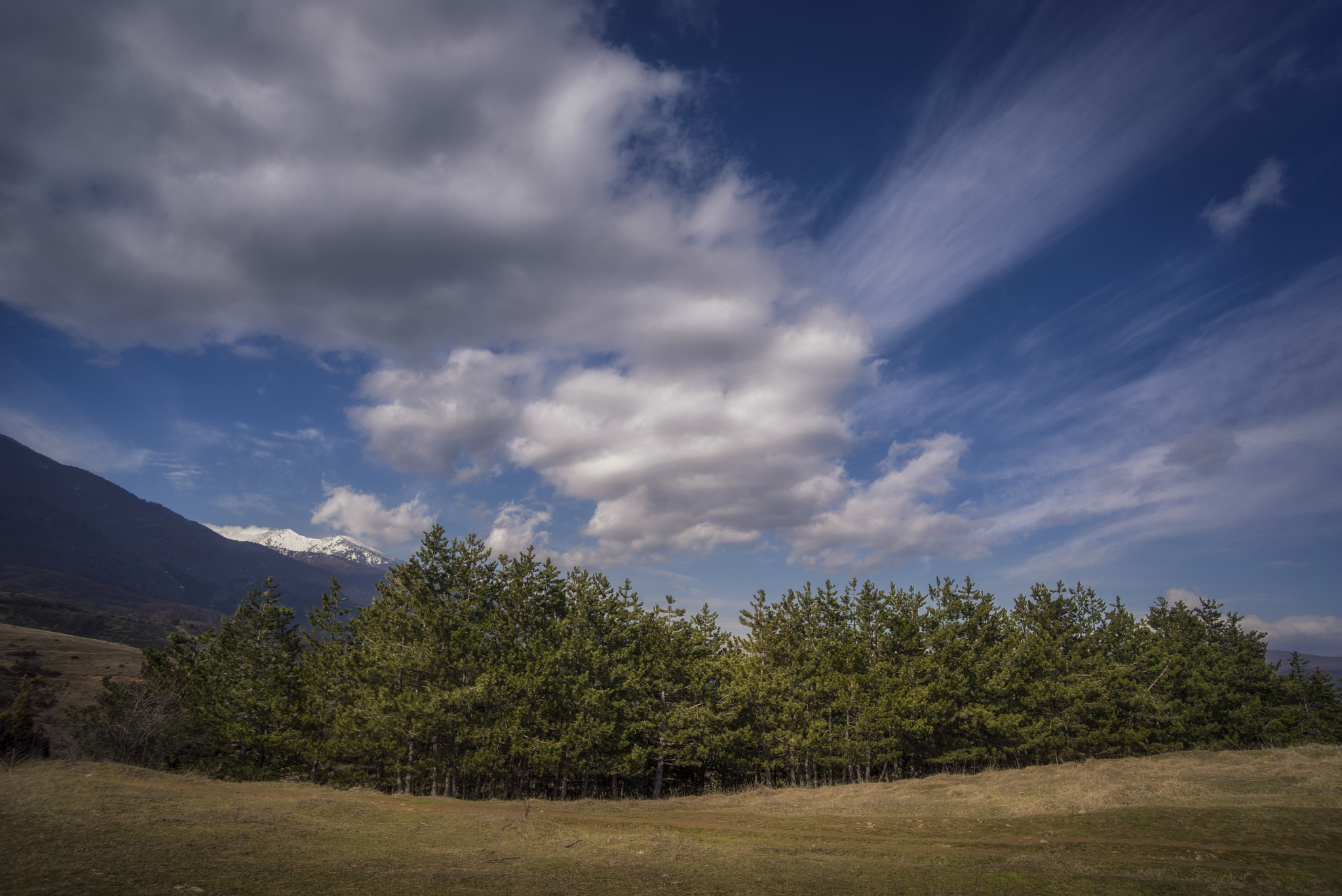 Pentax K-1 sample photo. Clouds over trees photography
