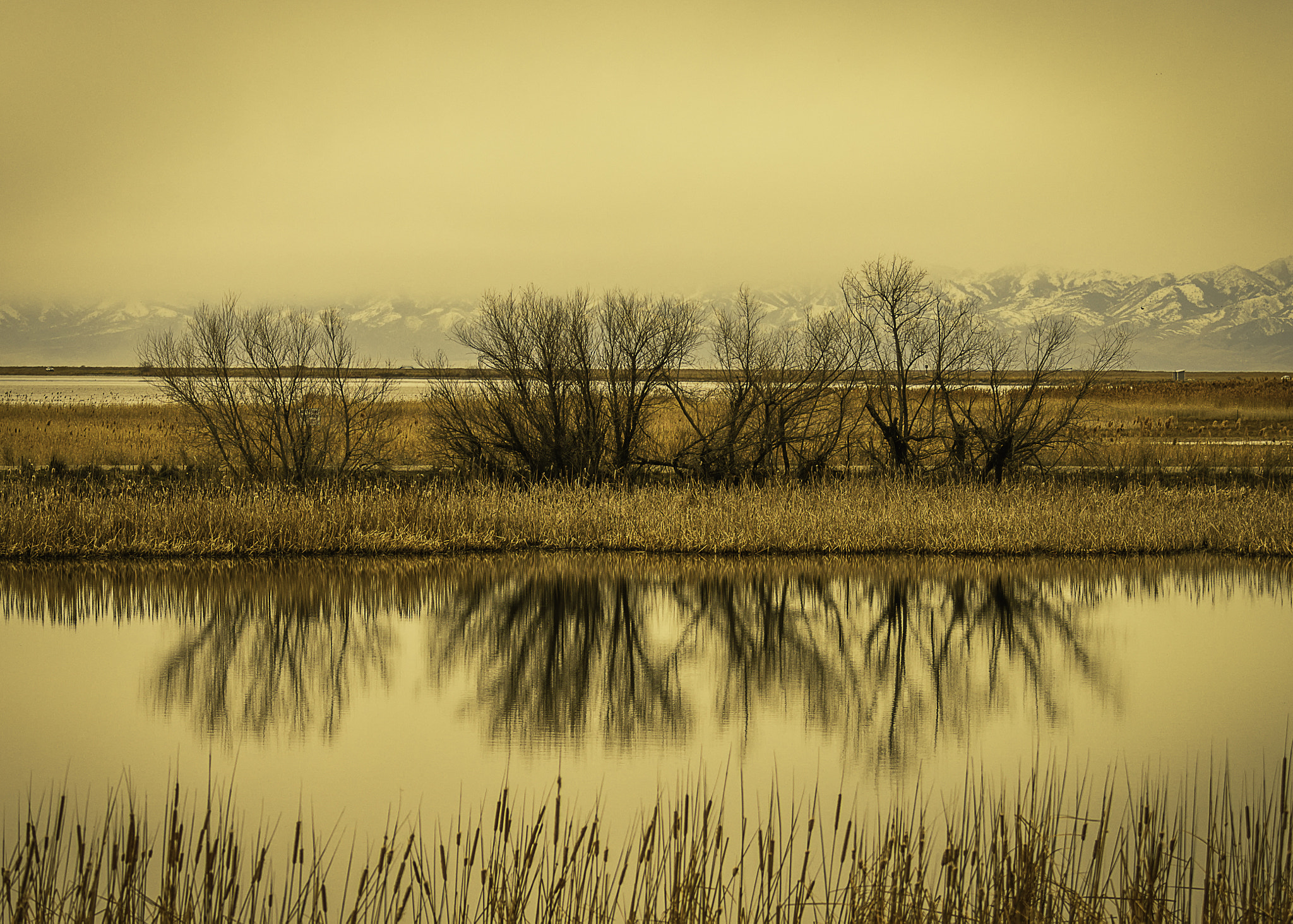 Nikon D500 sample photo. Reflections photography
