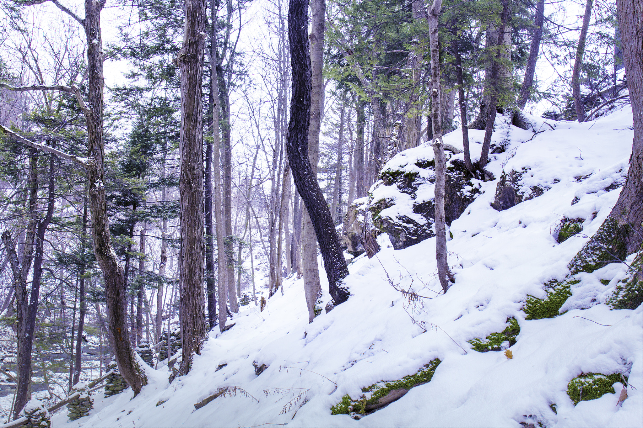 Canon EF 24-70mm F4L IS USM sample photo. Another trail photography