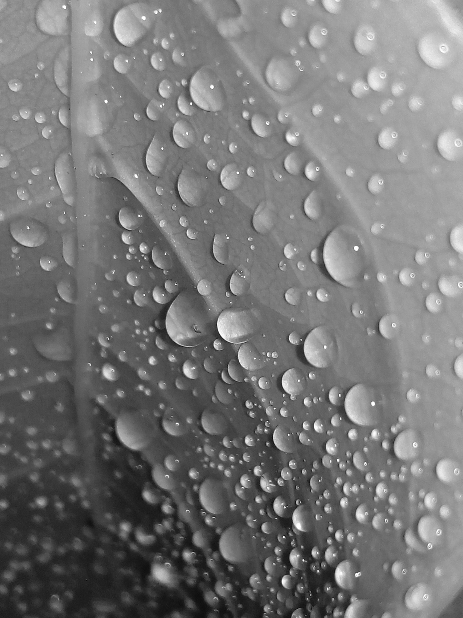 ZTE BLADE V7 LITE sample photo. Time flows, water drops photography