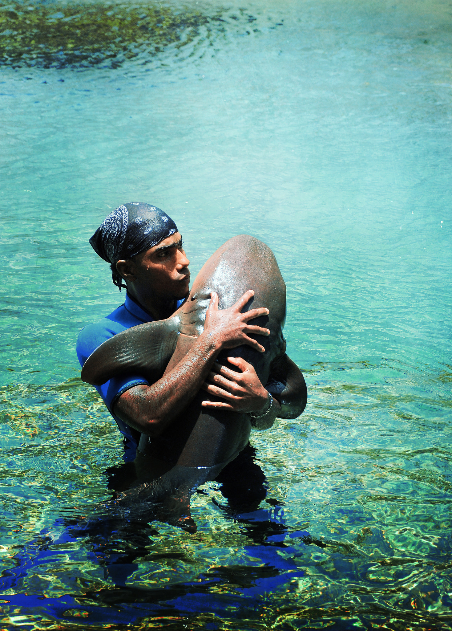 Nikon D60 sample photo. Sharkdance photography
