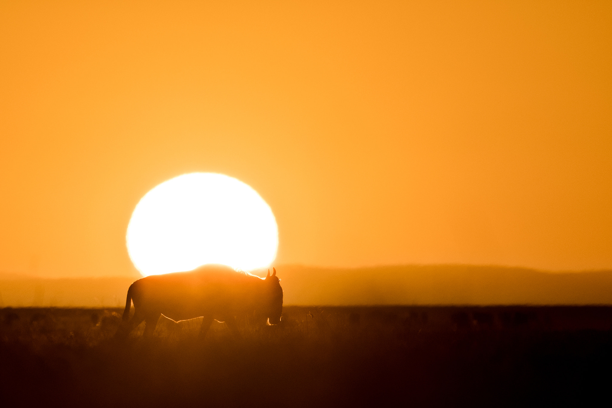 Nikon D5 sample photo. A new day has come photography