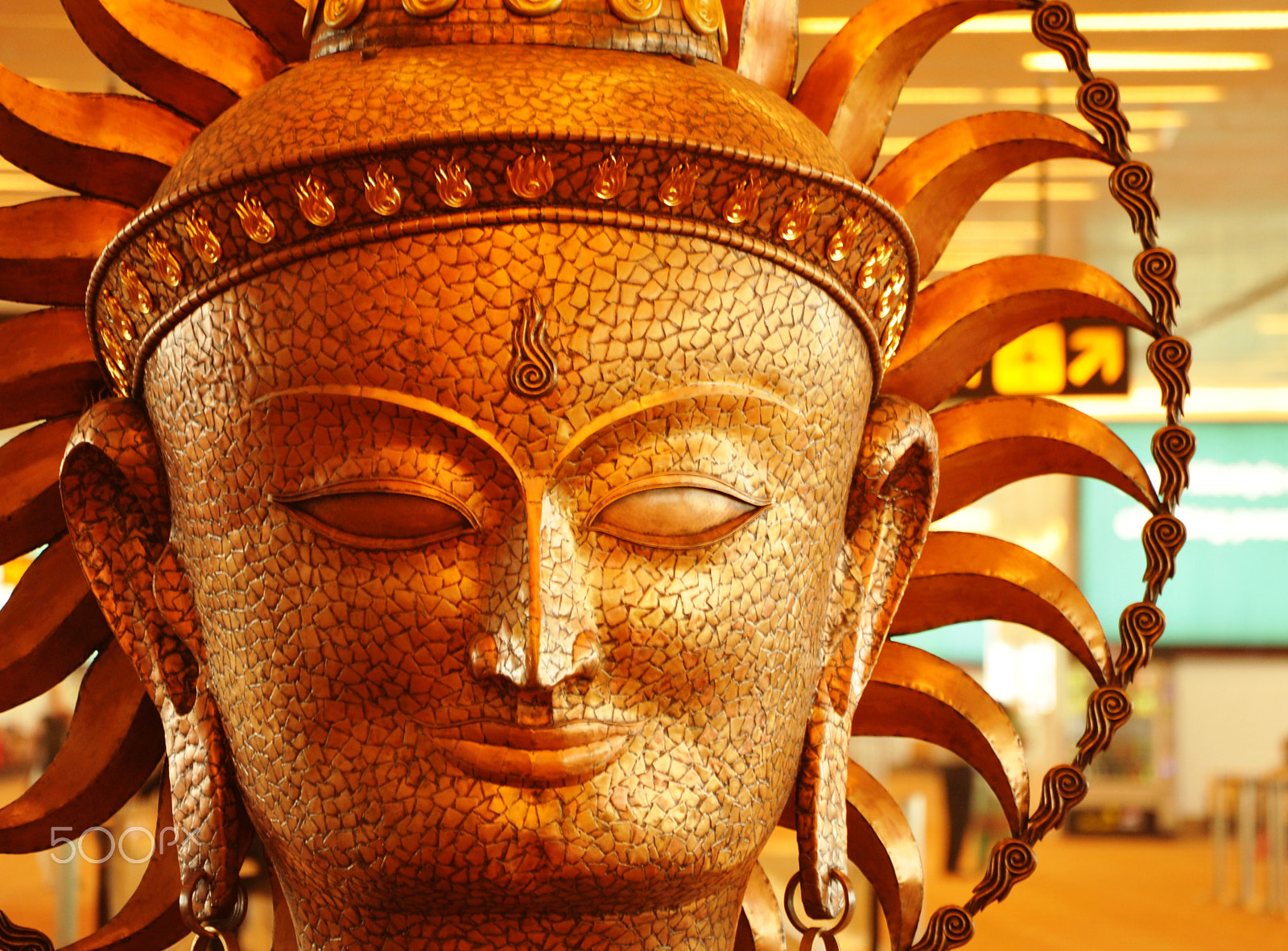 Nikon D700 sample photo. India-the land of buddha photography