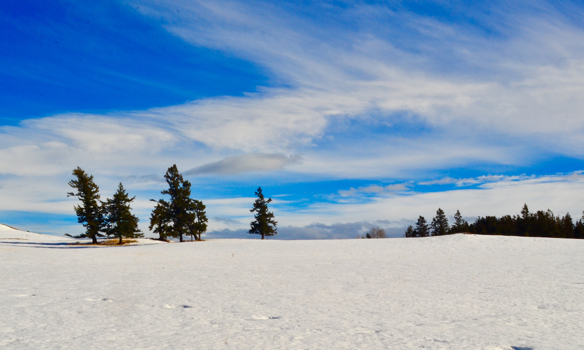 Nikon D7000 + AF Nikkor 50mm f/1.8 sample photo. Rose hill ranchland photography