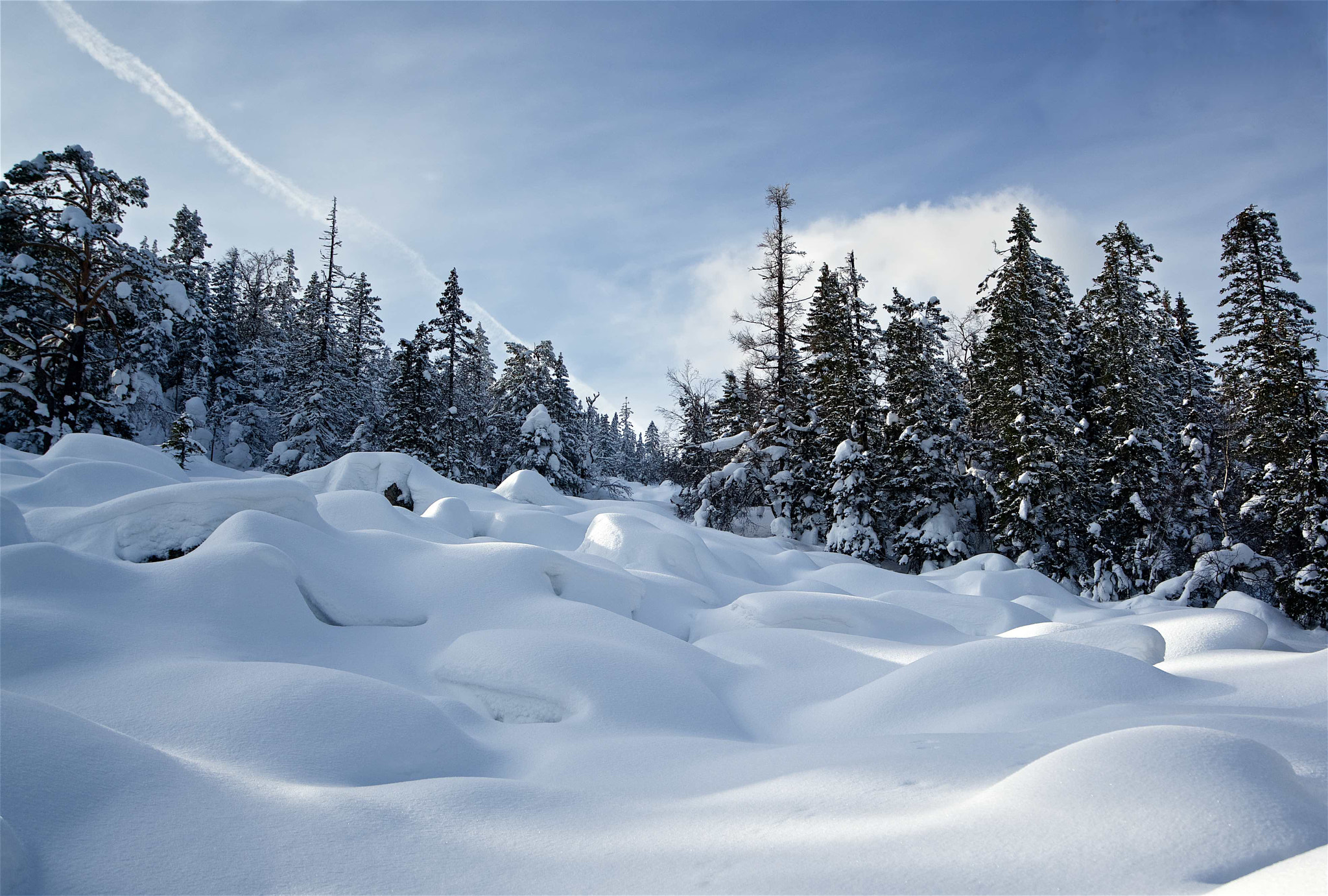 Sony a7R II + Sony Vario-Tessar T* FE 16-35mm F4 ZA OSS sample photo. Dsc photography
