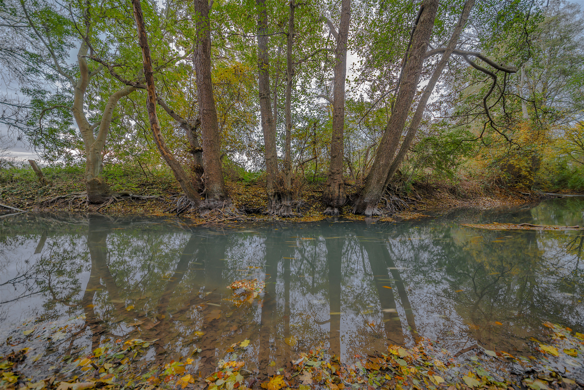 Sigma 12-24mm F4.5-5.6 II DG HSM sample photo. La vesle photography