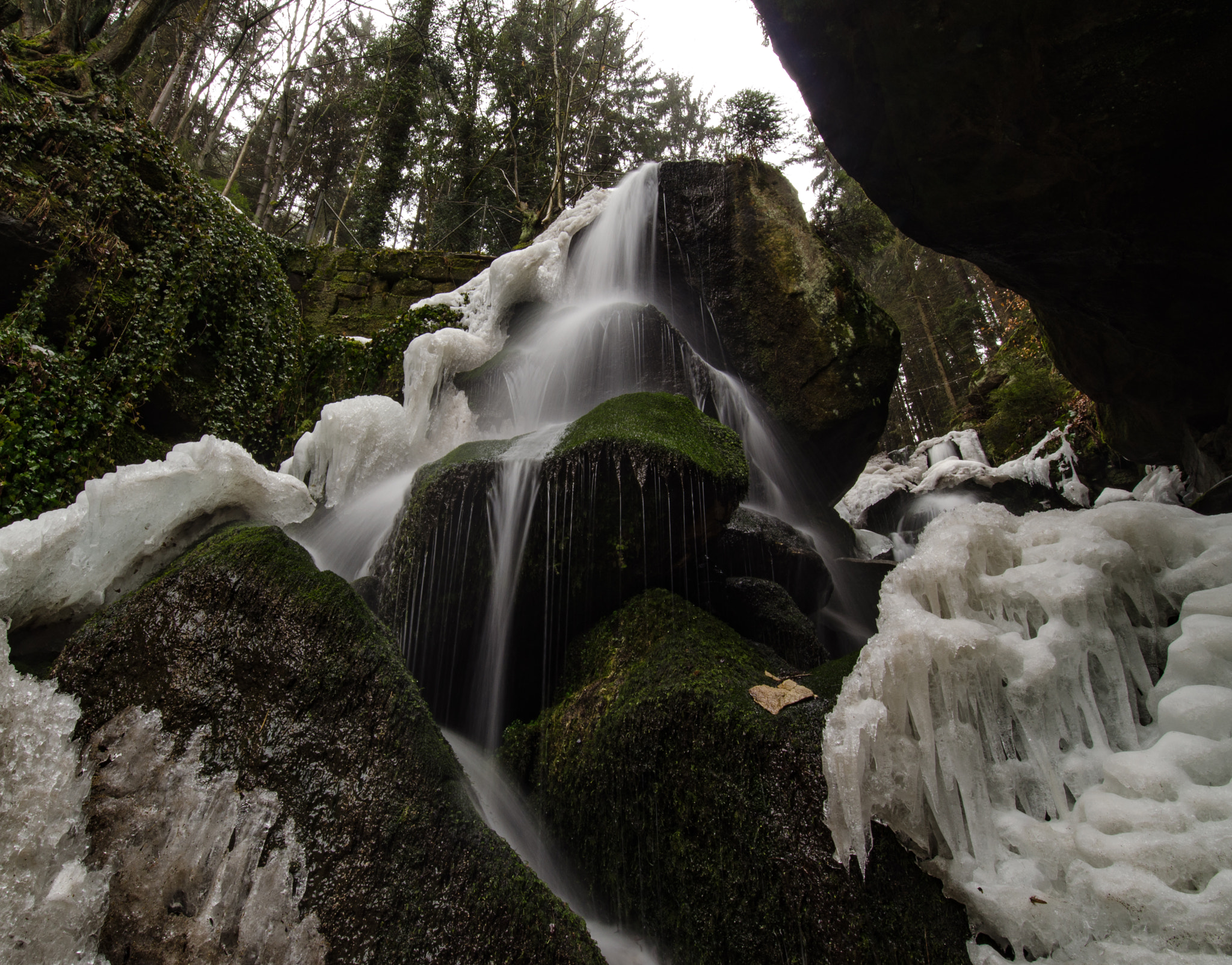 Samyang 14mm F2.8 ED AS IF UMC sample photo. Up photography