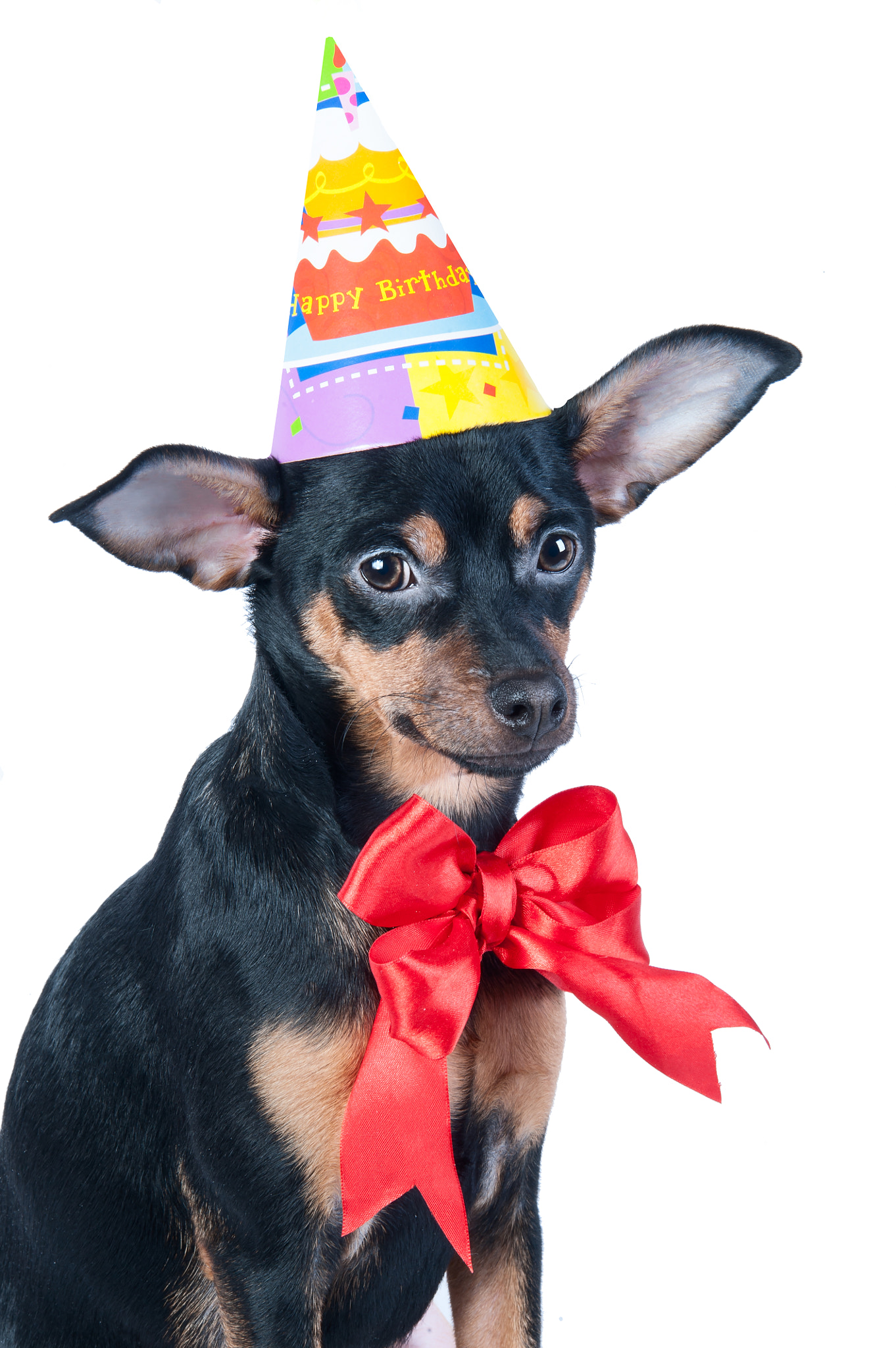 Nikon D700 sample photo. Happy birthday photography