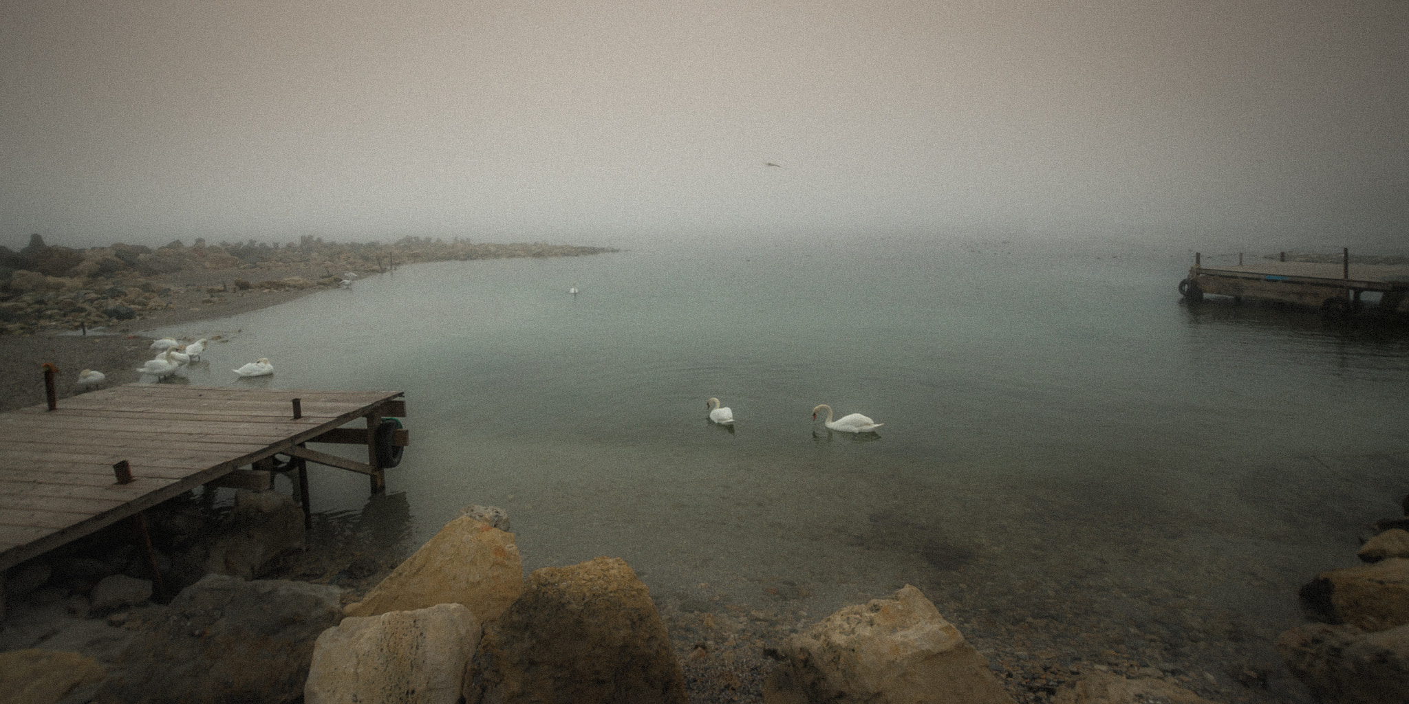Nikon D7000 + Sigma 10-20mm F3.5 EX DC HSM sample photo. Morning mood... photography