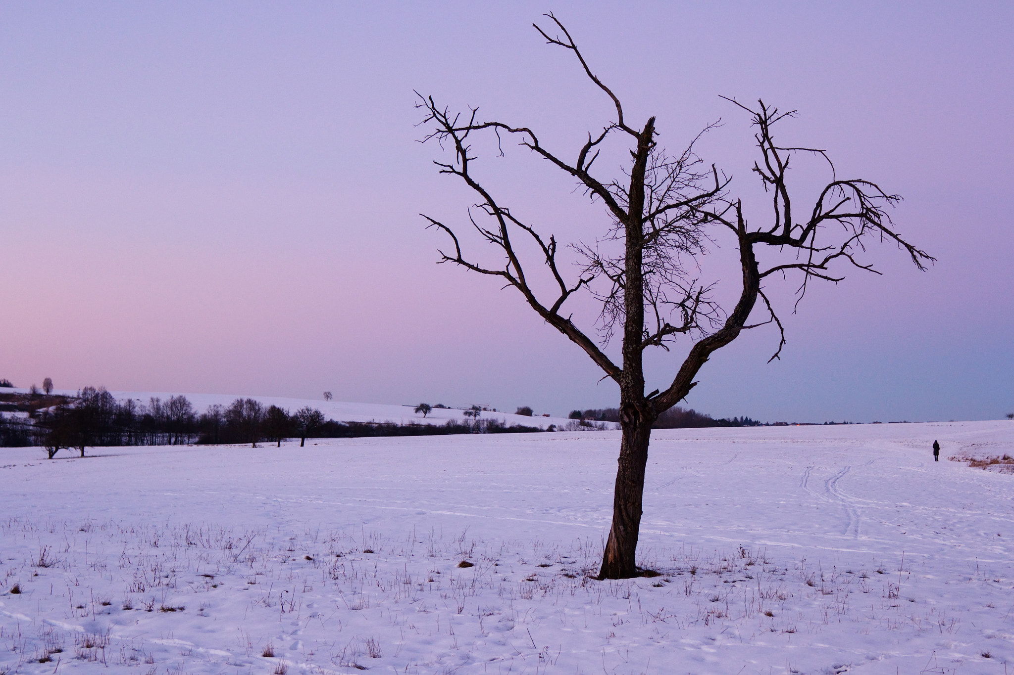 AF Nikkor 28mm f/1.4D sample photo. Waiting photography