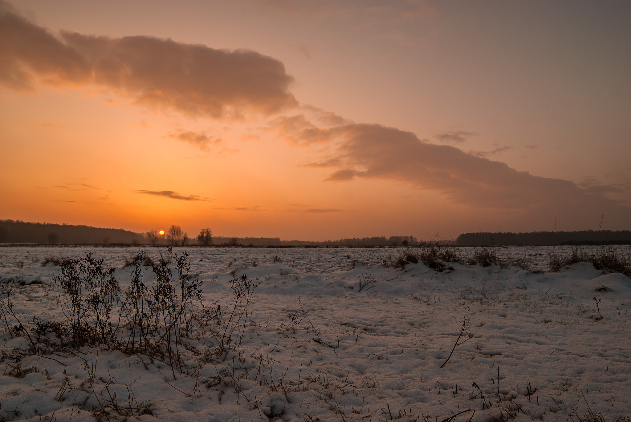 Nikon D80 sample photo. Sunrise on the field photography