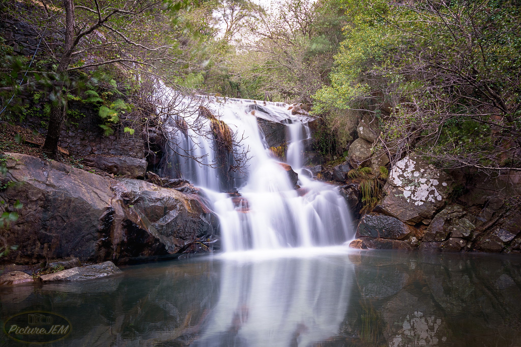 Nikon D5500 sample photo