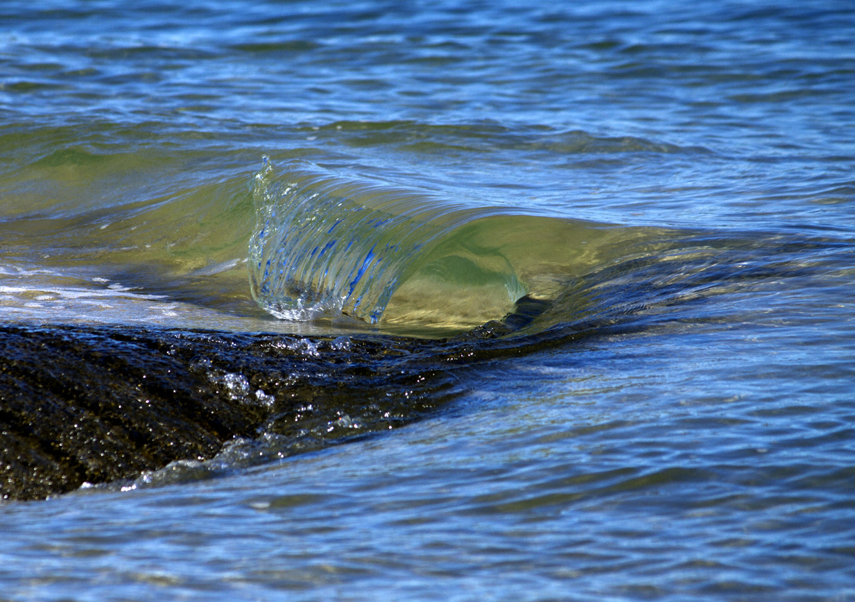 Canon EF-S 55-250mm F4-5.6 IS II sample photo. Mini wave photography