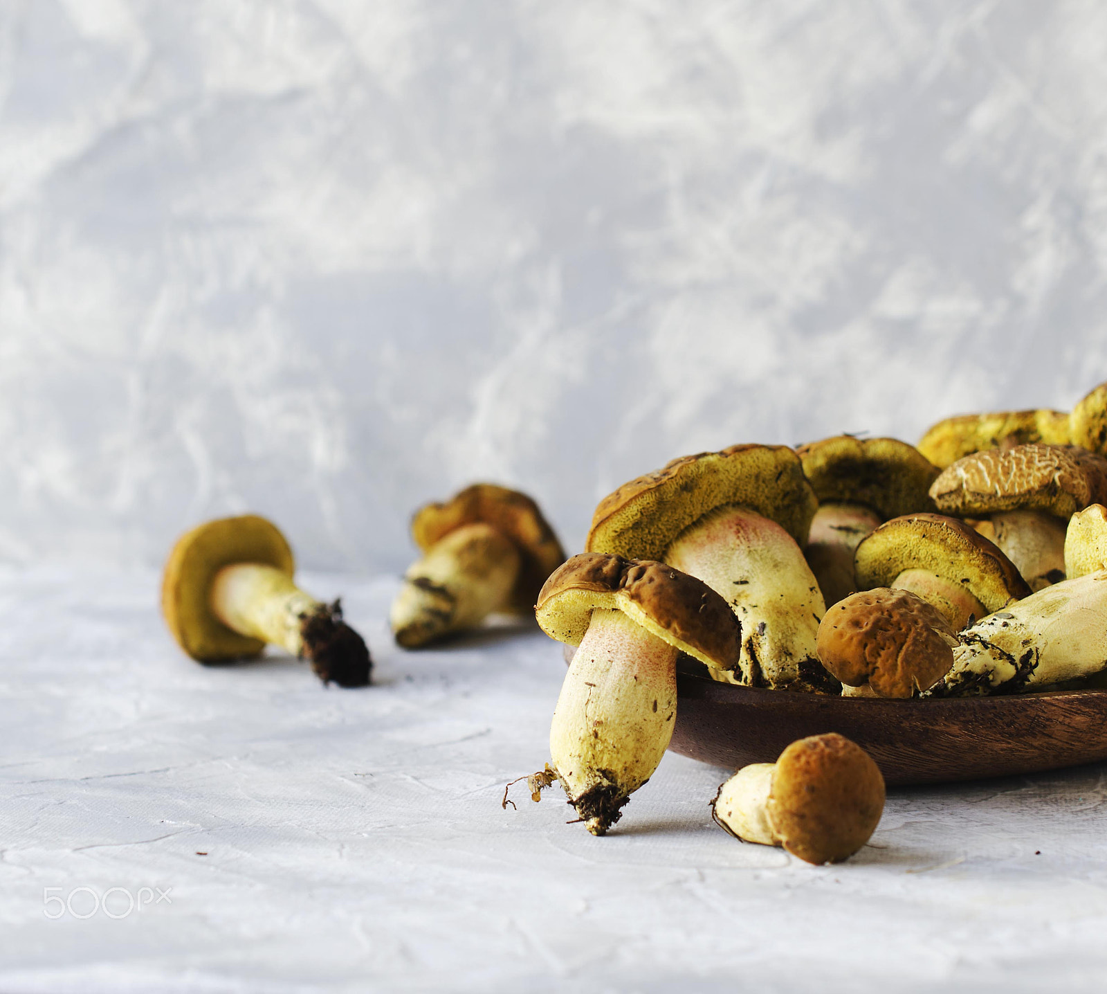 Nikon AF-S DX Micro Nikkor 40mm F2.8 sample photo. Wild forest mushrooms in a wooden box on white marble table, selective focus photography