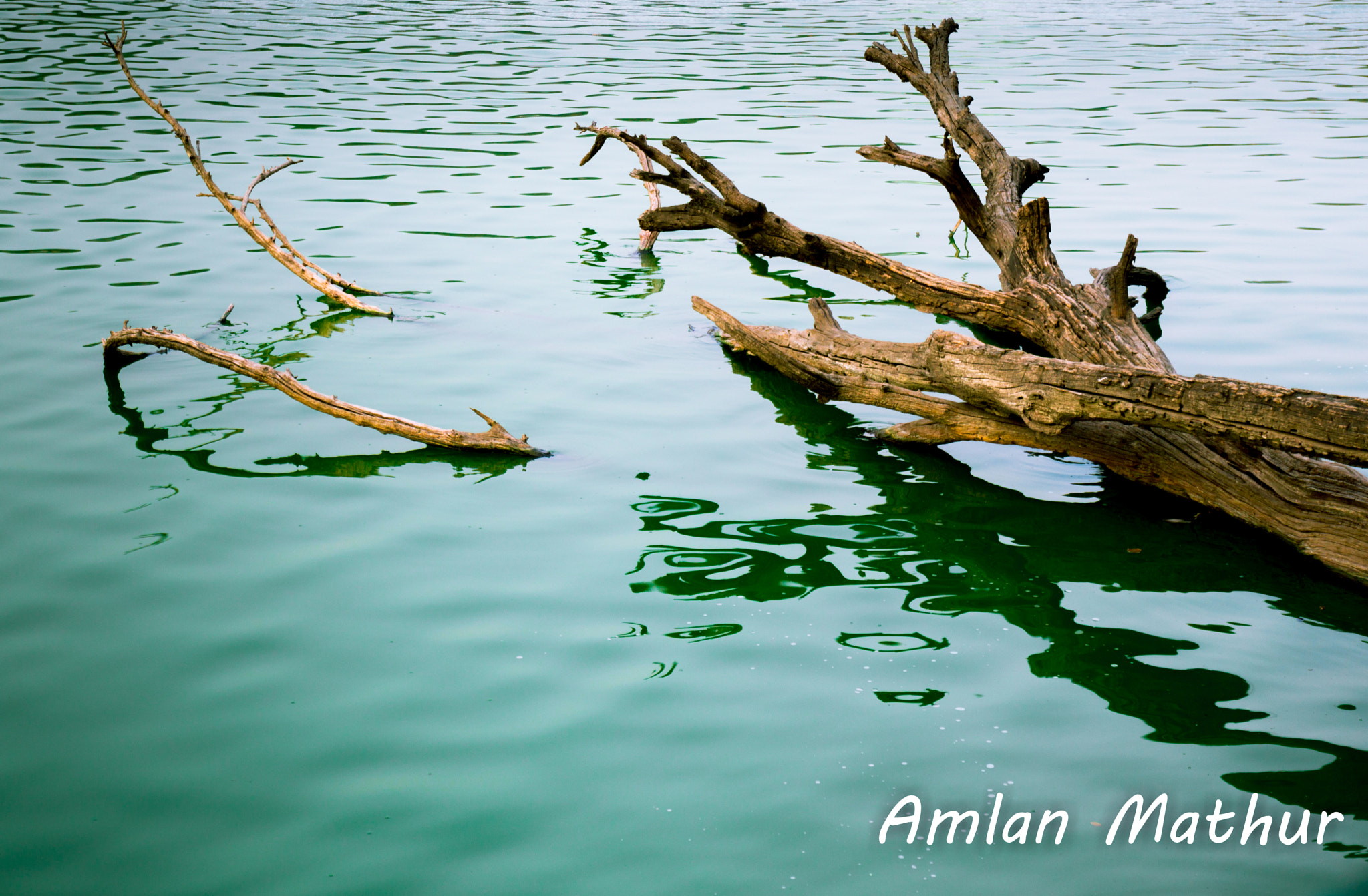 Sony Alpha NEX-6 sample photo. Urban decay photography
