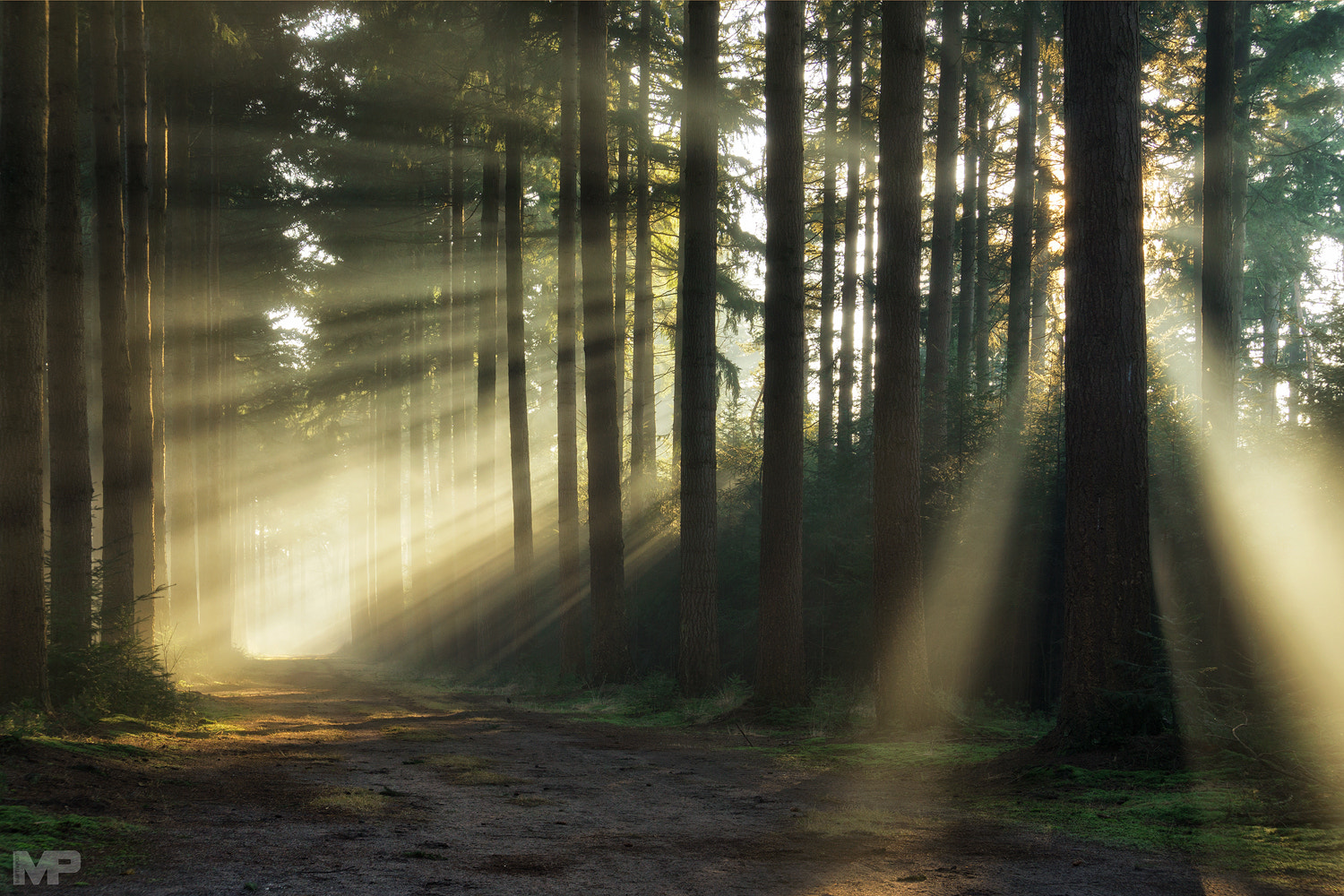 Sony E 18-200mm F3.5-6.3 OSS sample photo. Explosion of light photography