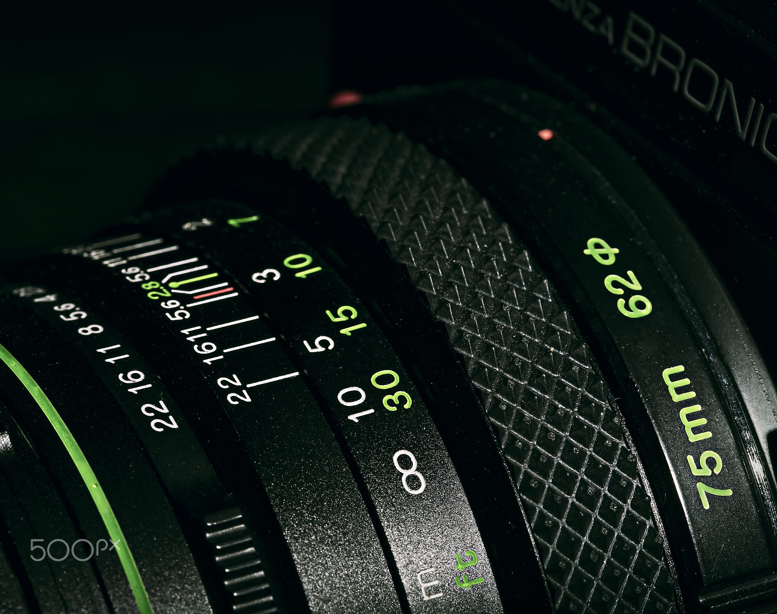 Canon EF 100mm F2.8L Macro IS USM sample photo. Focus in green photography