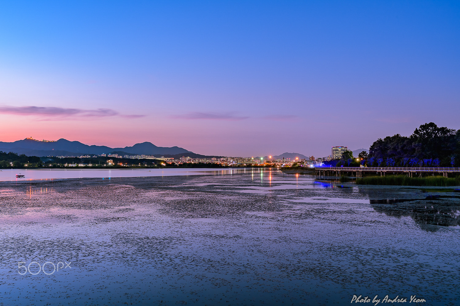 Nikon D5 sample photo. Twilight photography