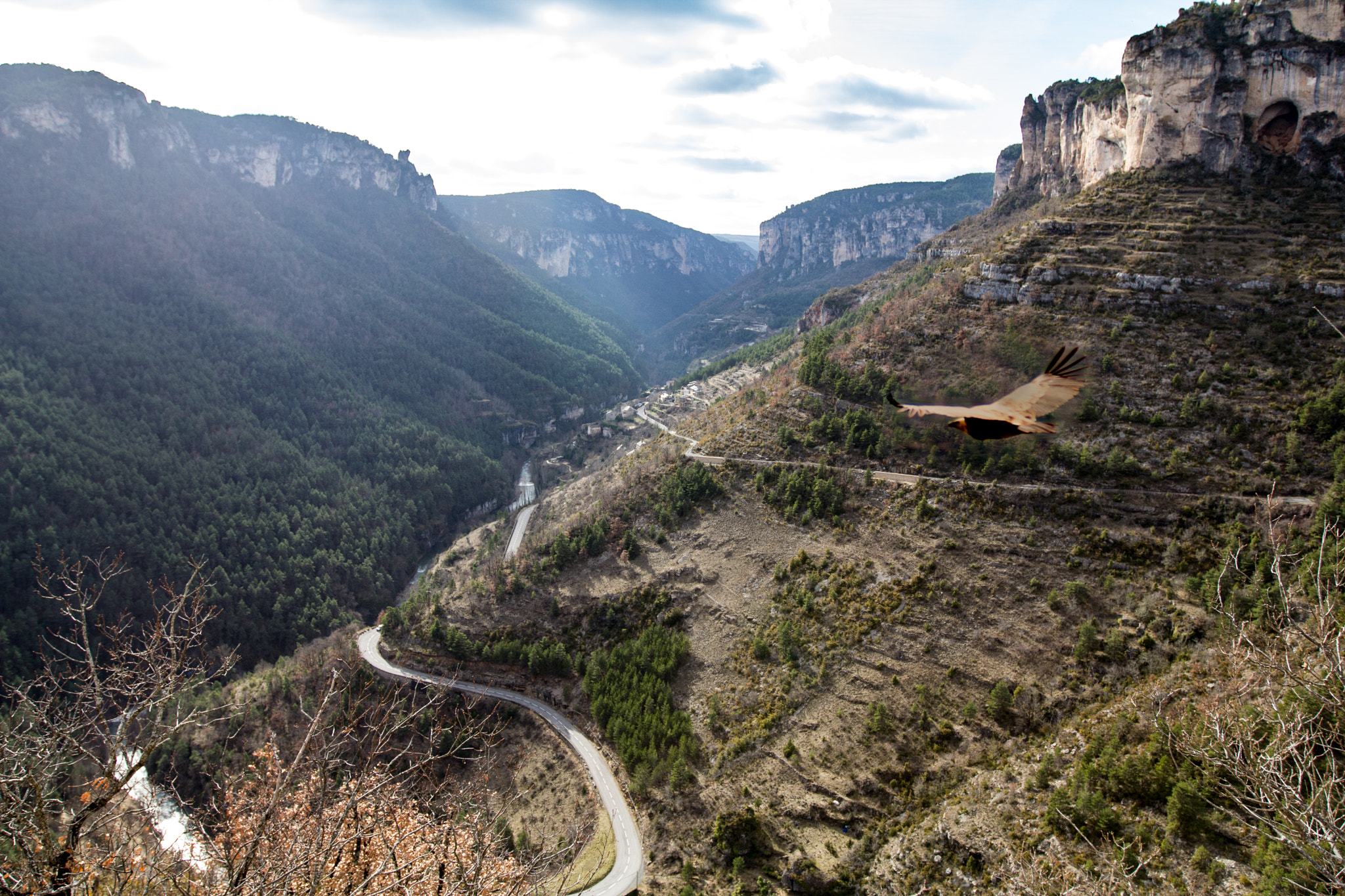 Canon EF 16-35mm F2.8L II USM sample photo. Gorges de la jonte photography