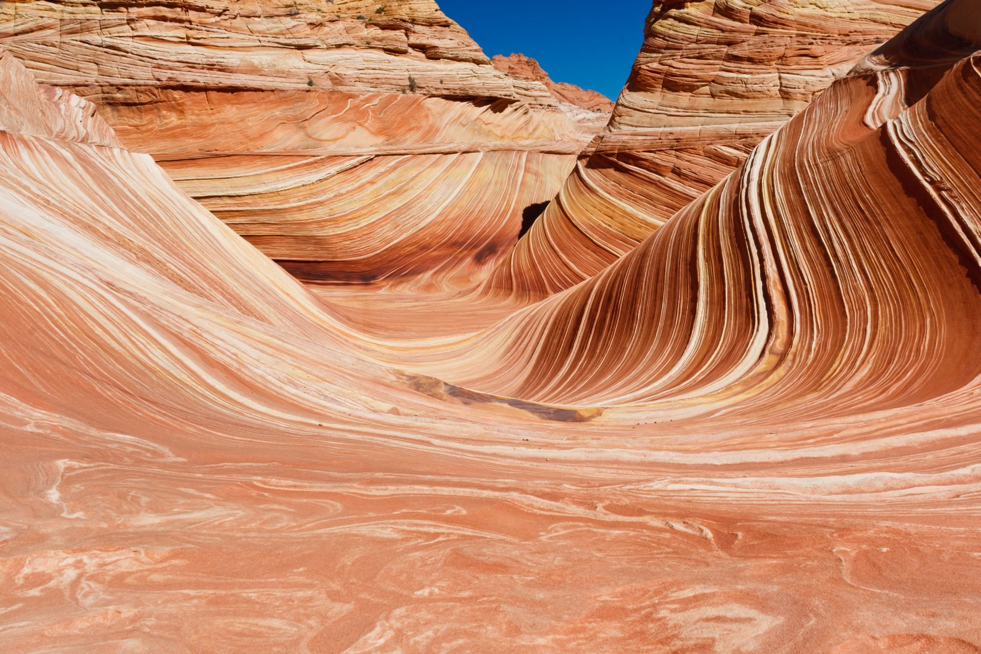 Canon EOS 30D sample photo. The wave photography